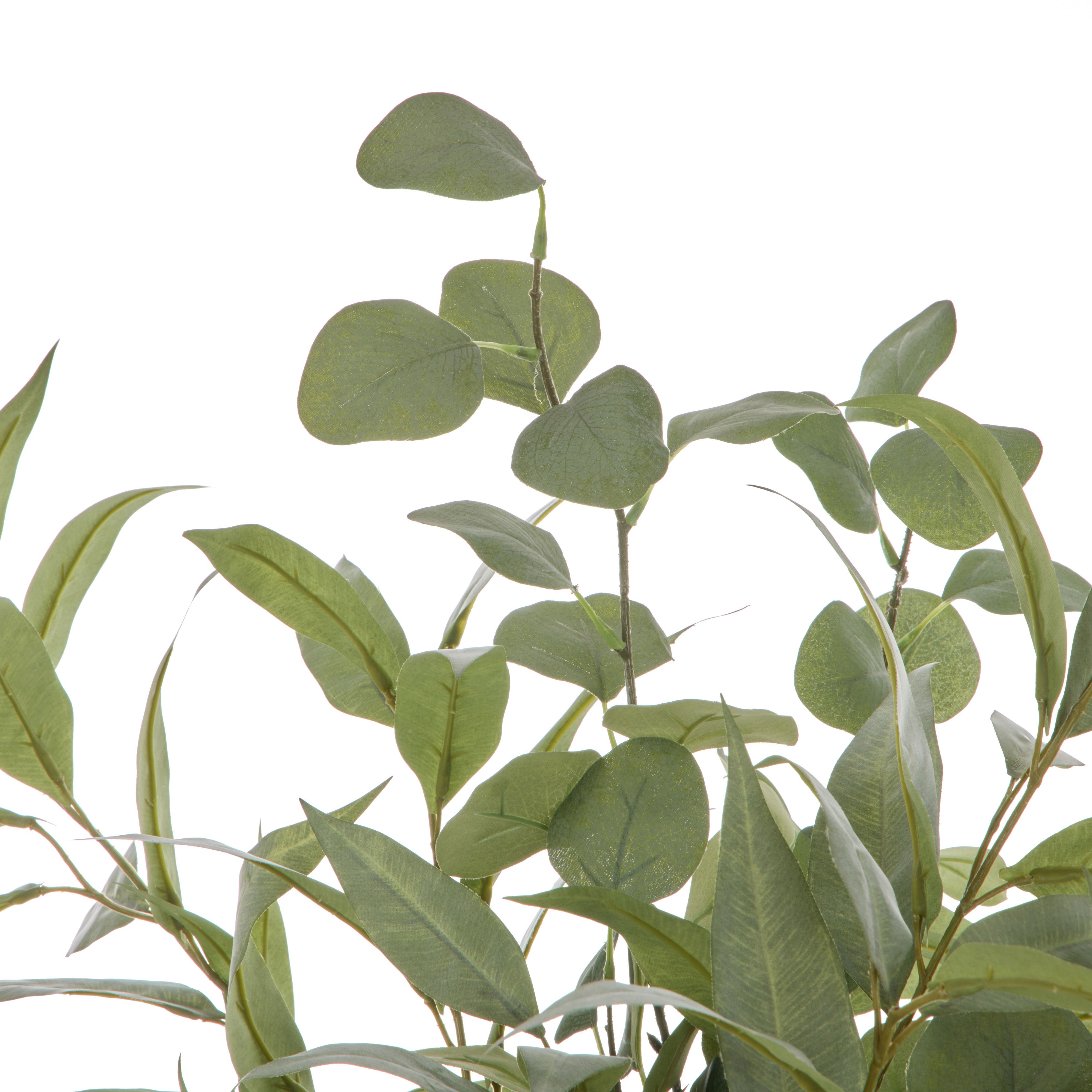 Rogue Eucalyptus Mix-Grey Vase 72cm
