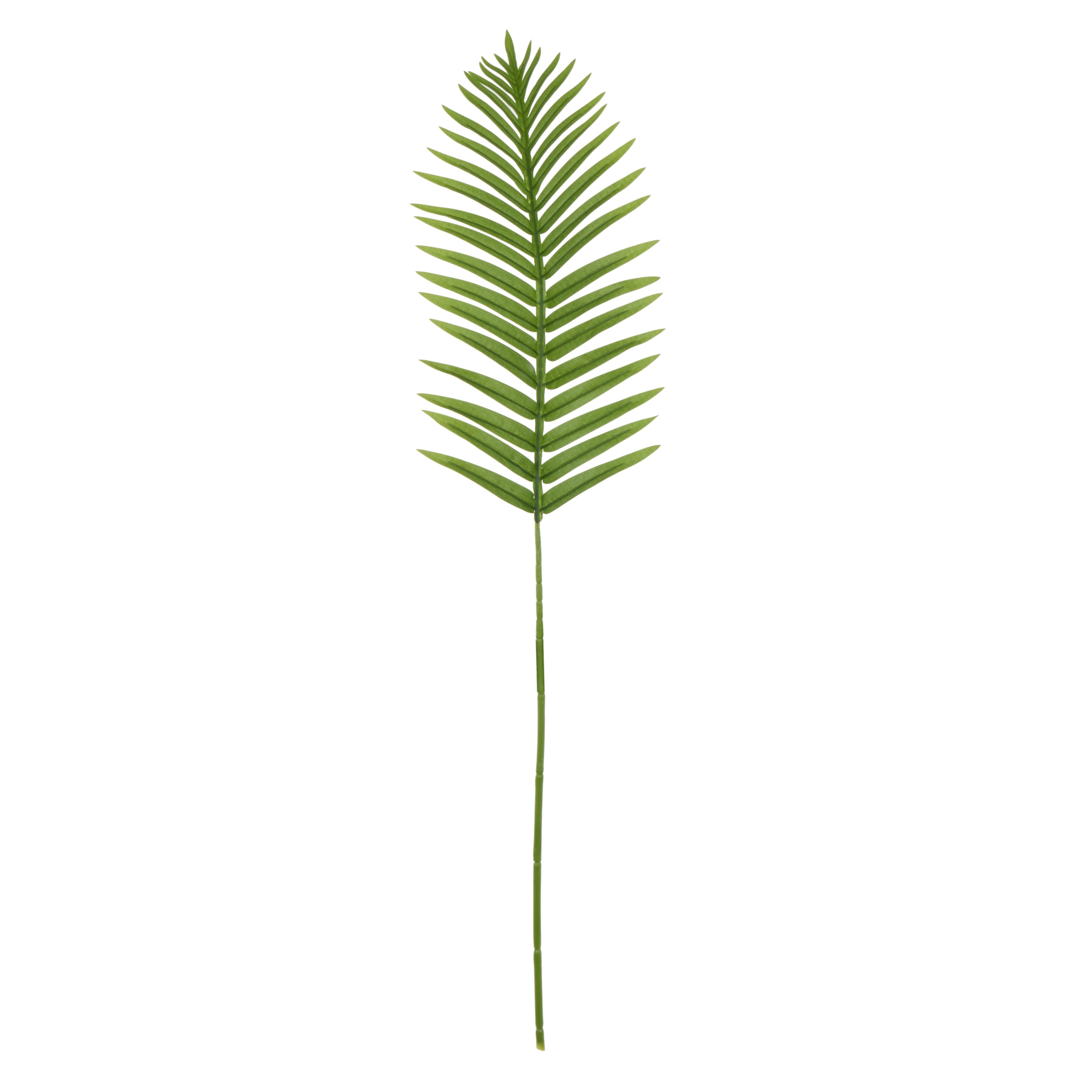 Rogue Fan Palm Leaf