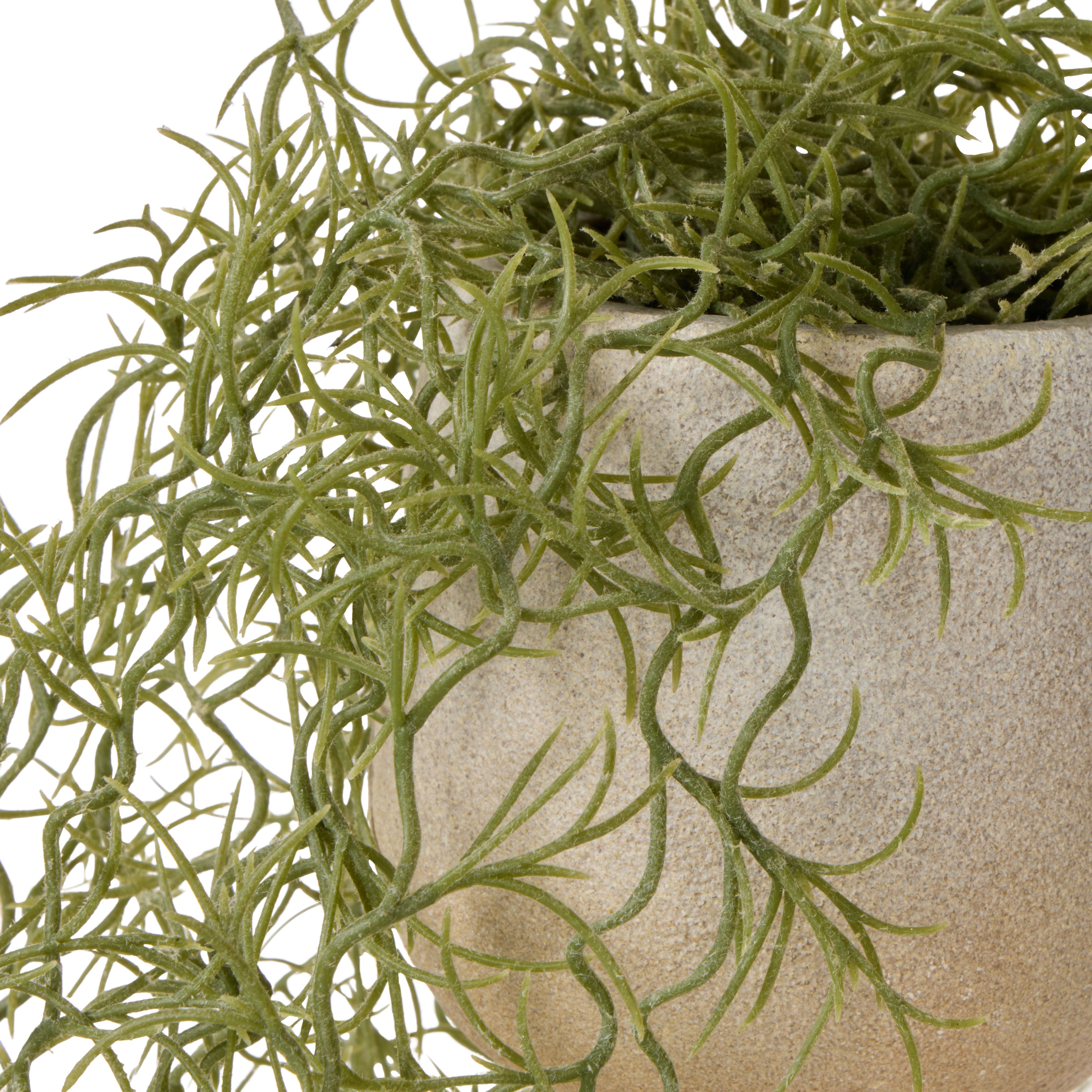 Rogue Airfern Plant Pot