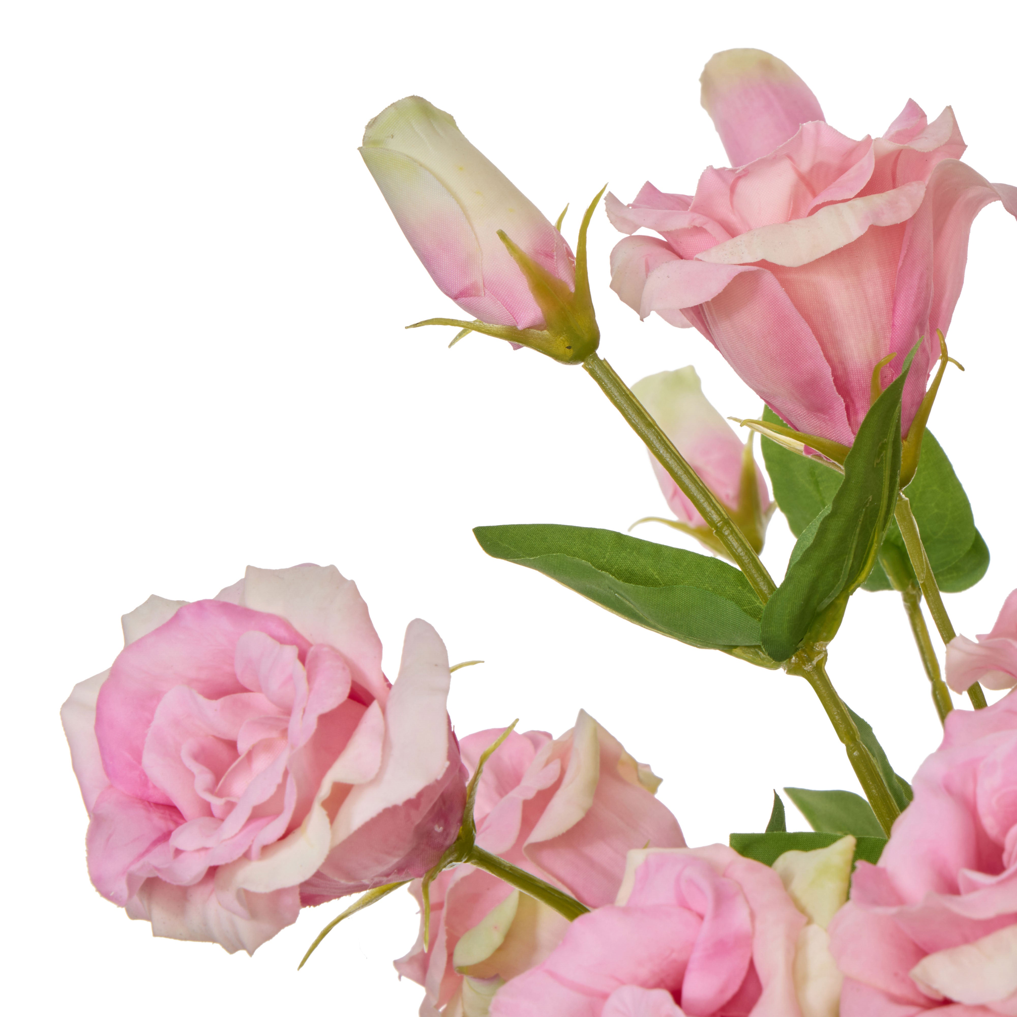 Rogue Lisianthus Claire Vase