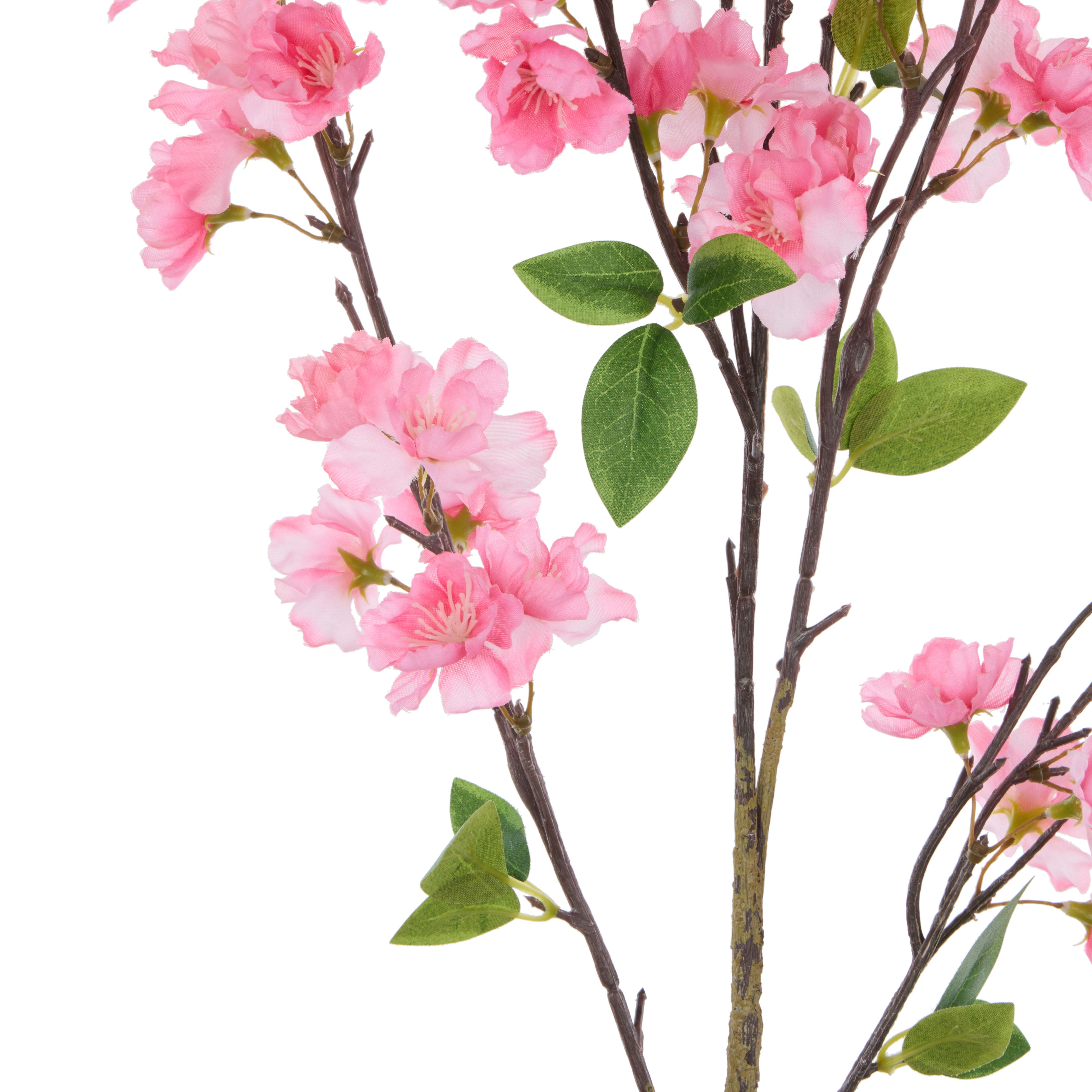 Rogue Cherry Blossom Spray Pink
