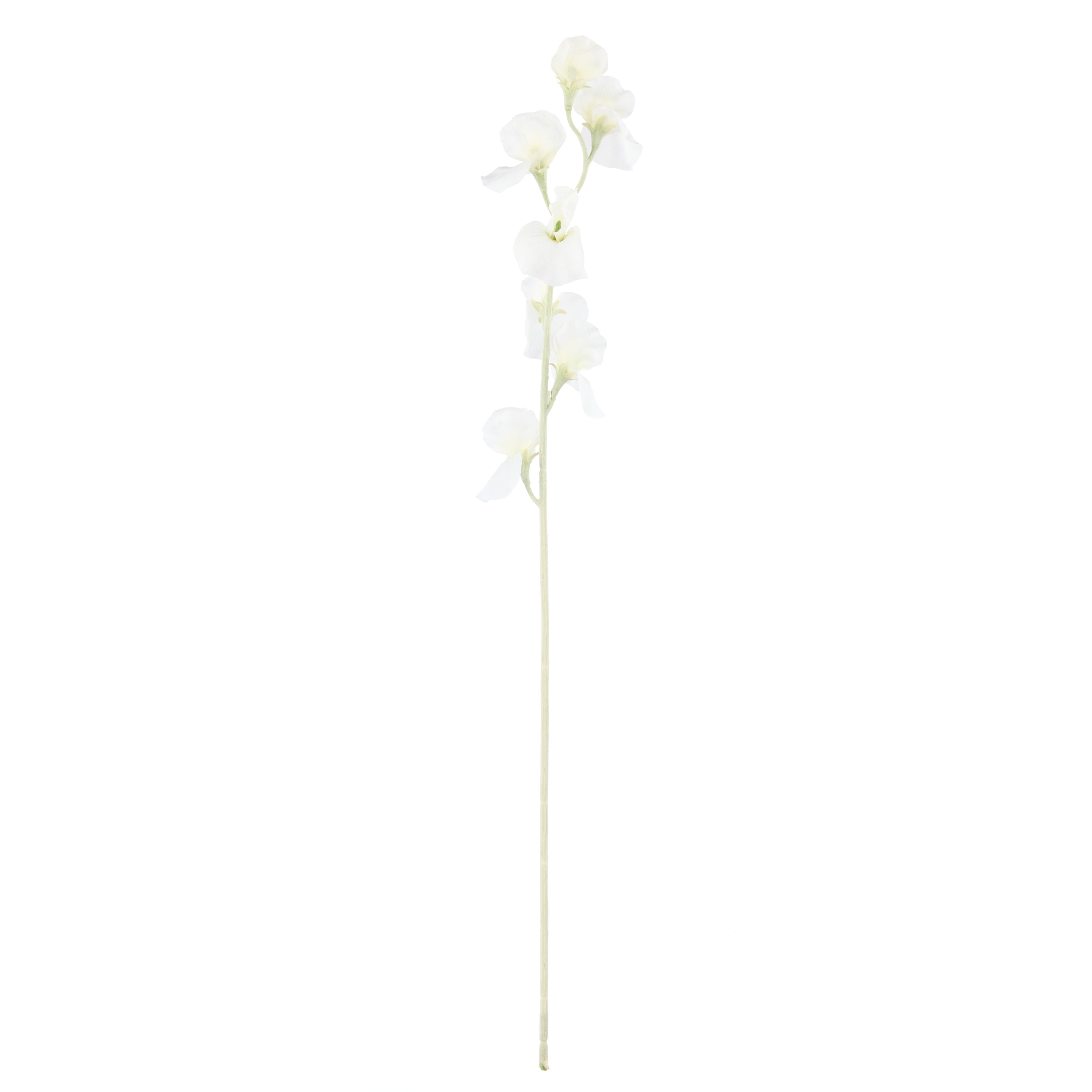 Rogue Sweet Pea Spray Cream