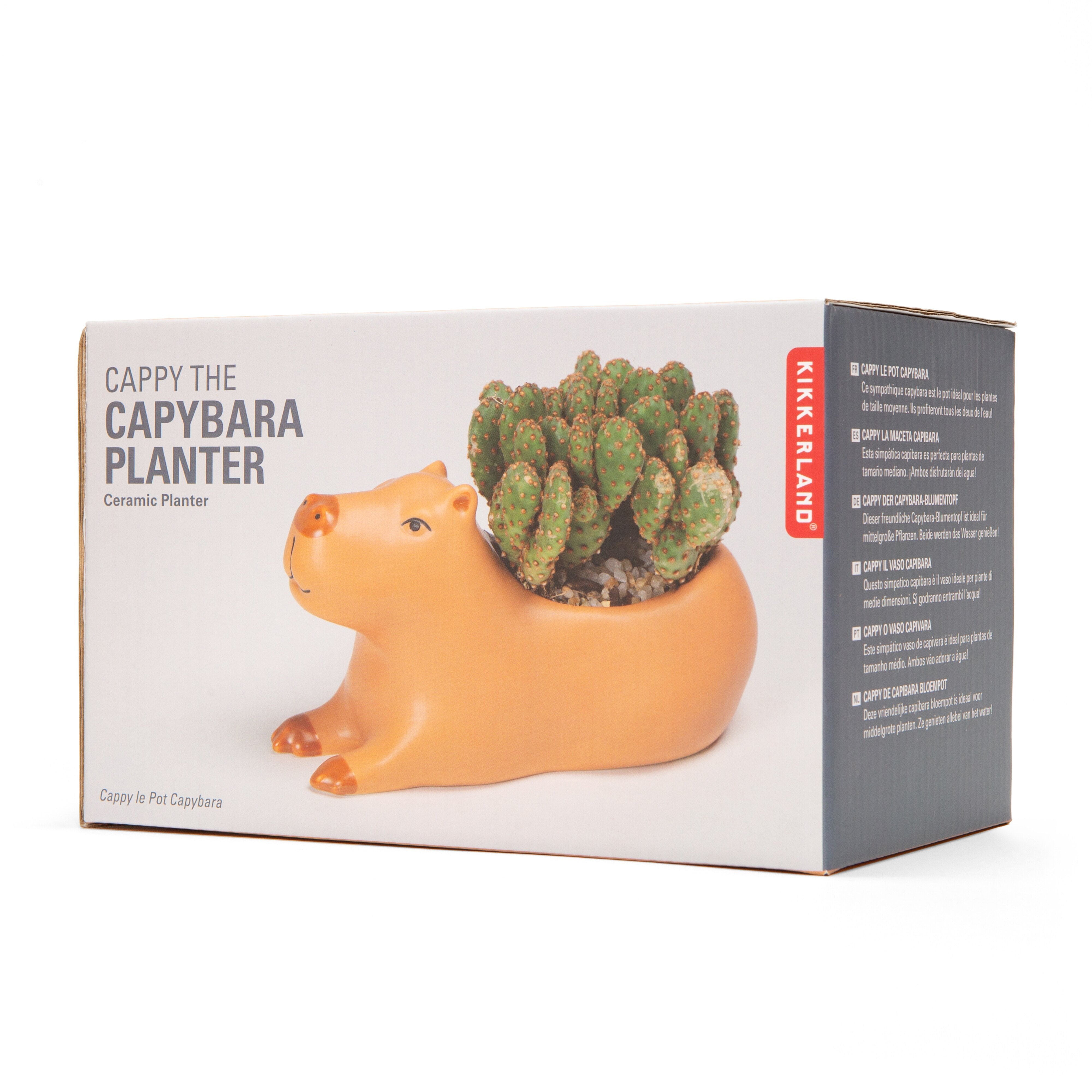Kikkerland Cappy the Capybara Planter Large Brown