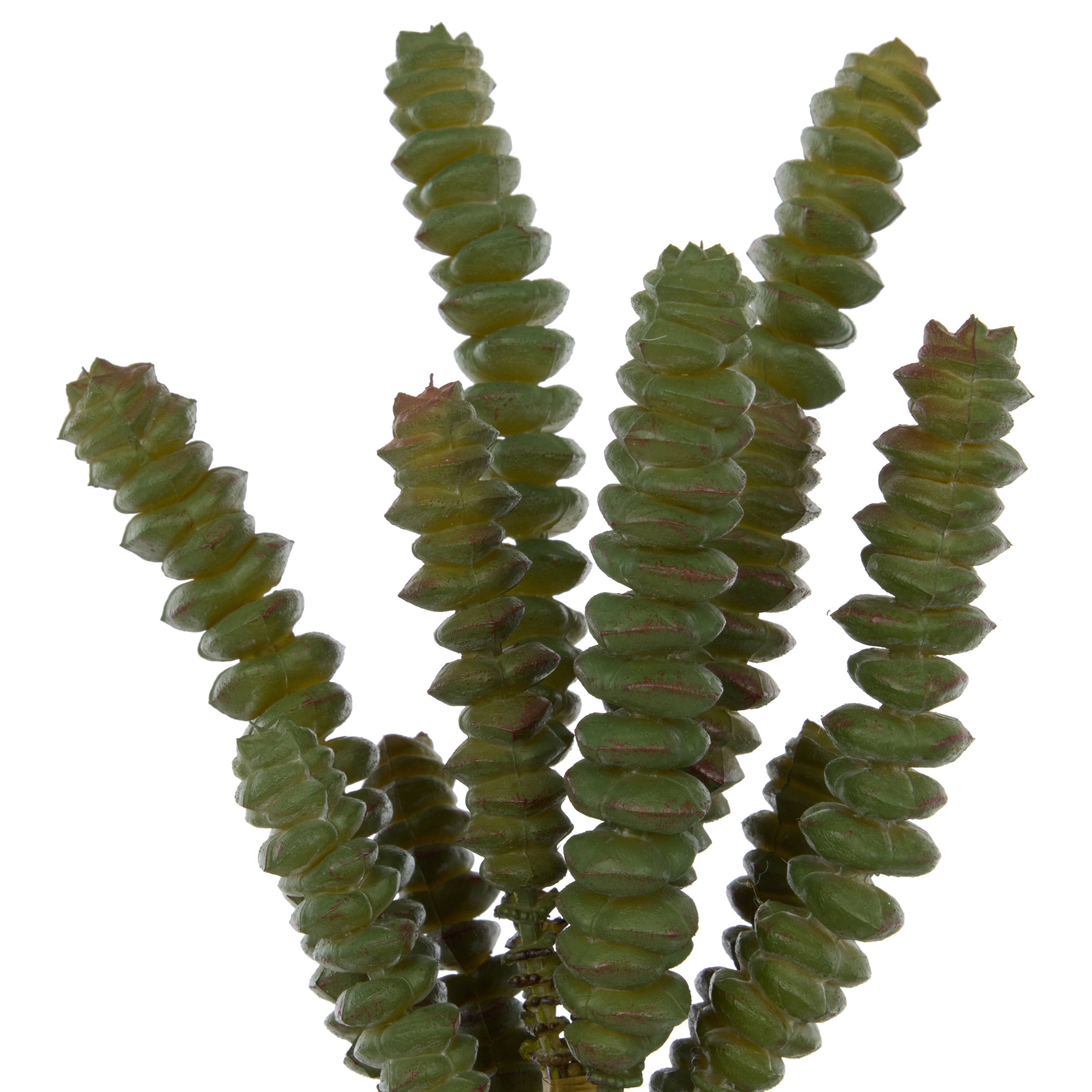 Rogue Jade Necklace Spray