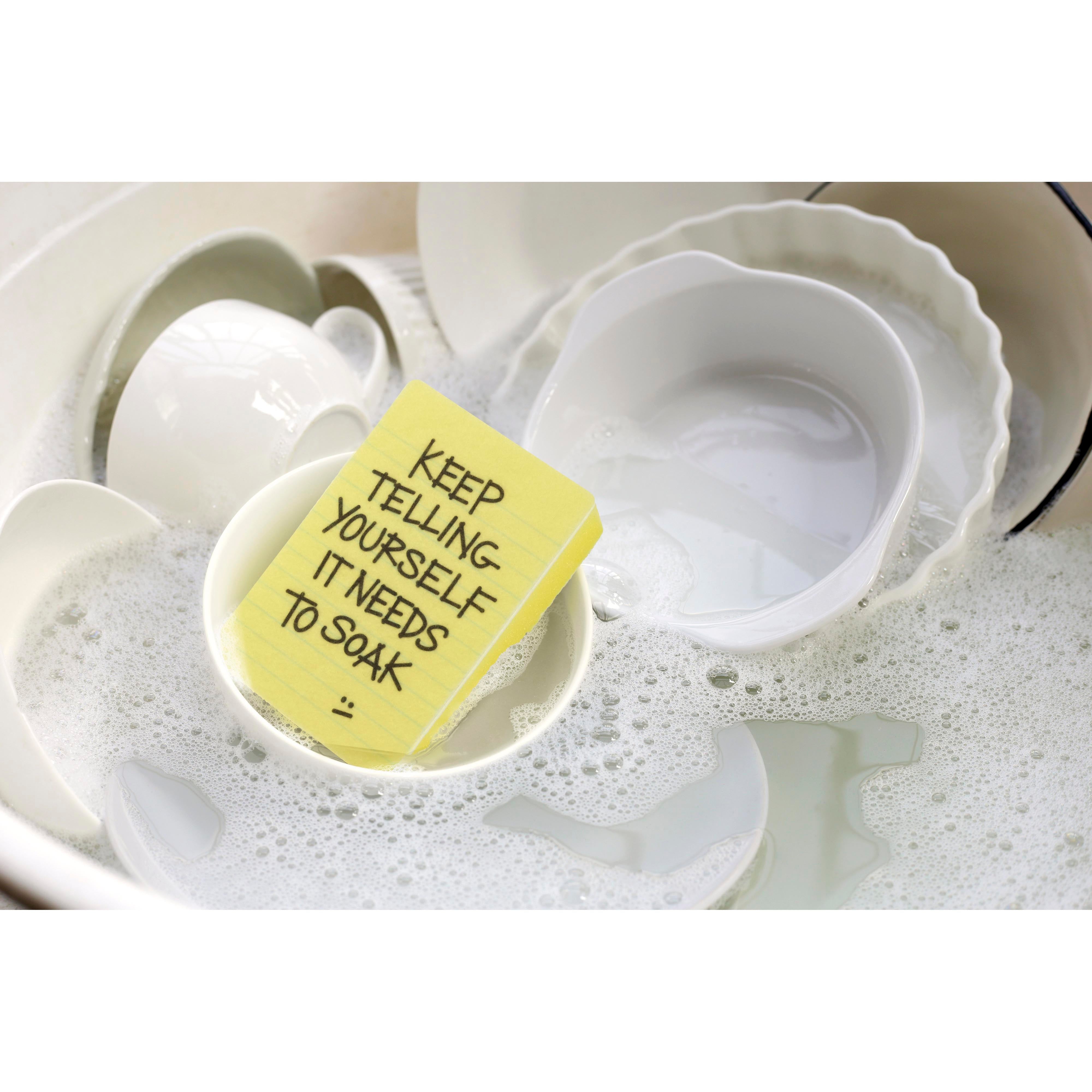 Fred Clean Conscience Sponges 2 Piece Set Multi-Coloured