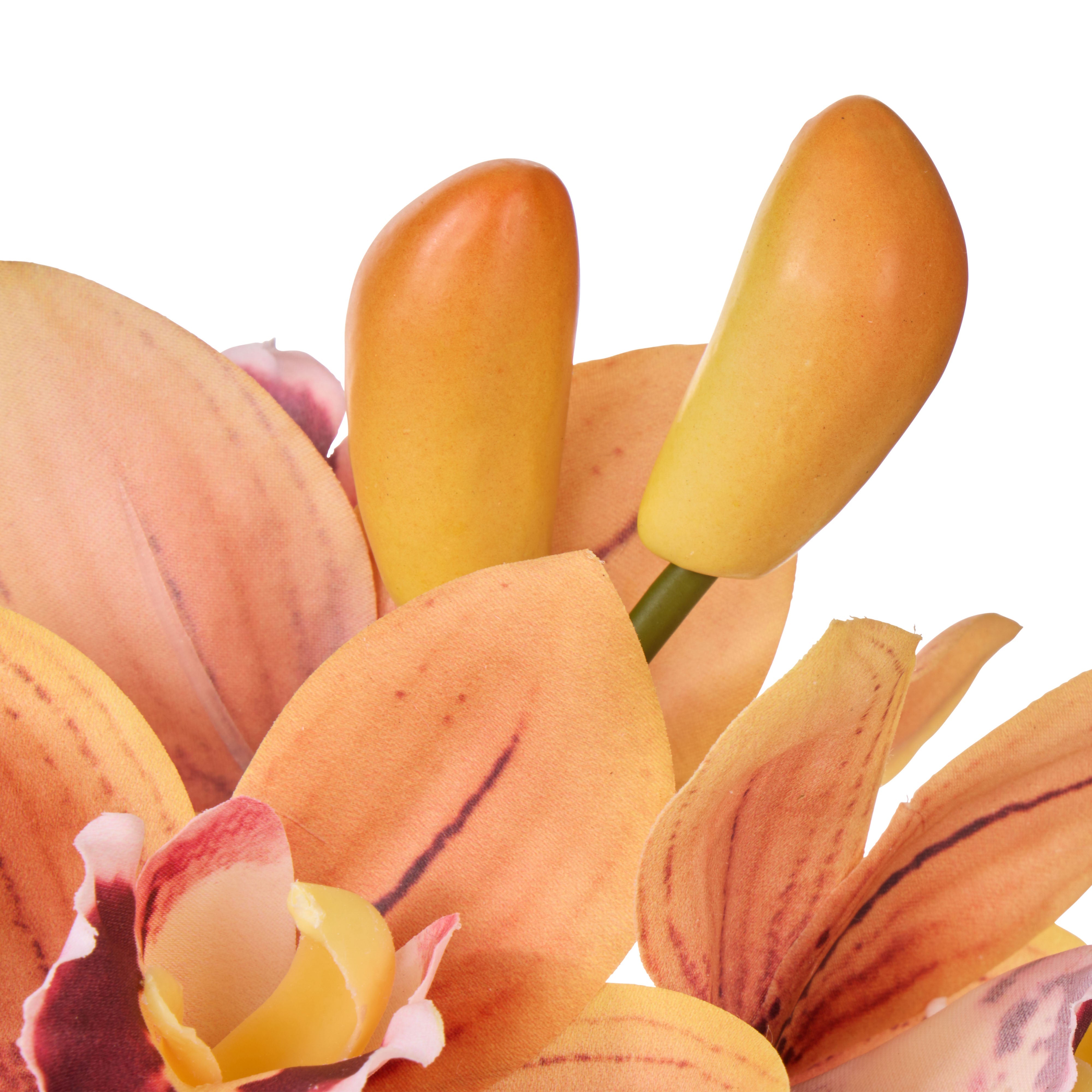 Rogue Cymbidium-Glass Vase Orange 20cm