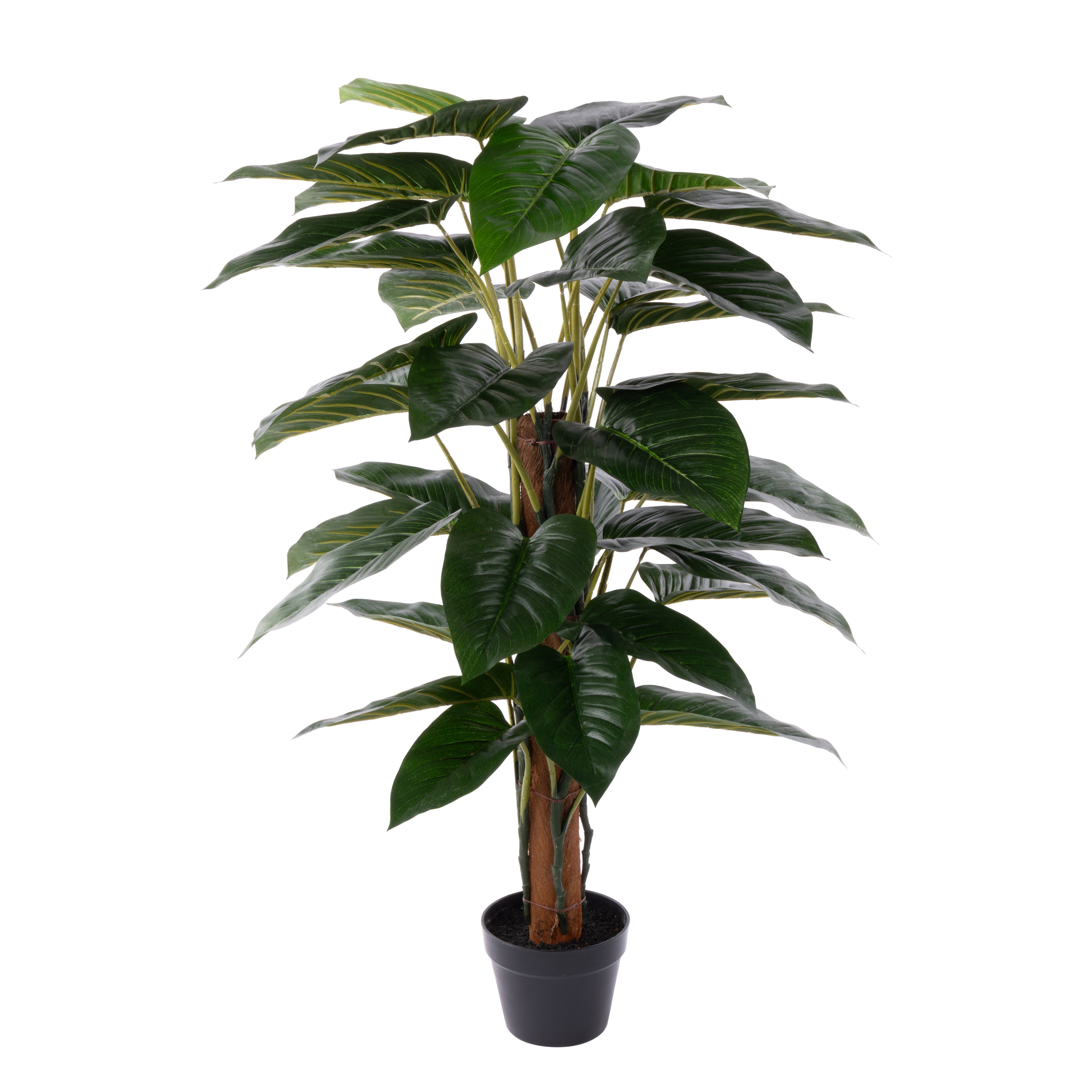 Rogue Philodendron UV - Garden Pot 120cm