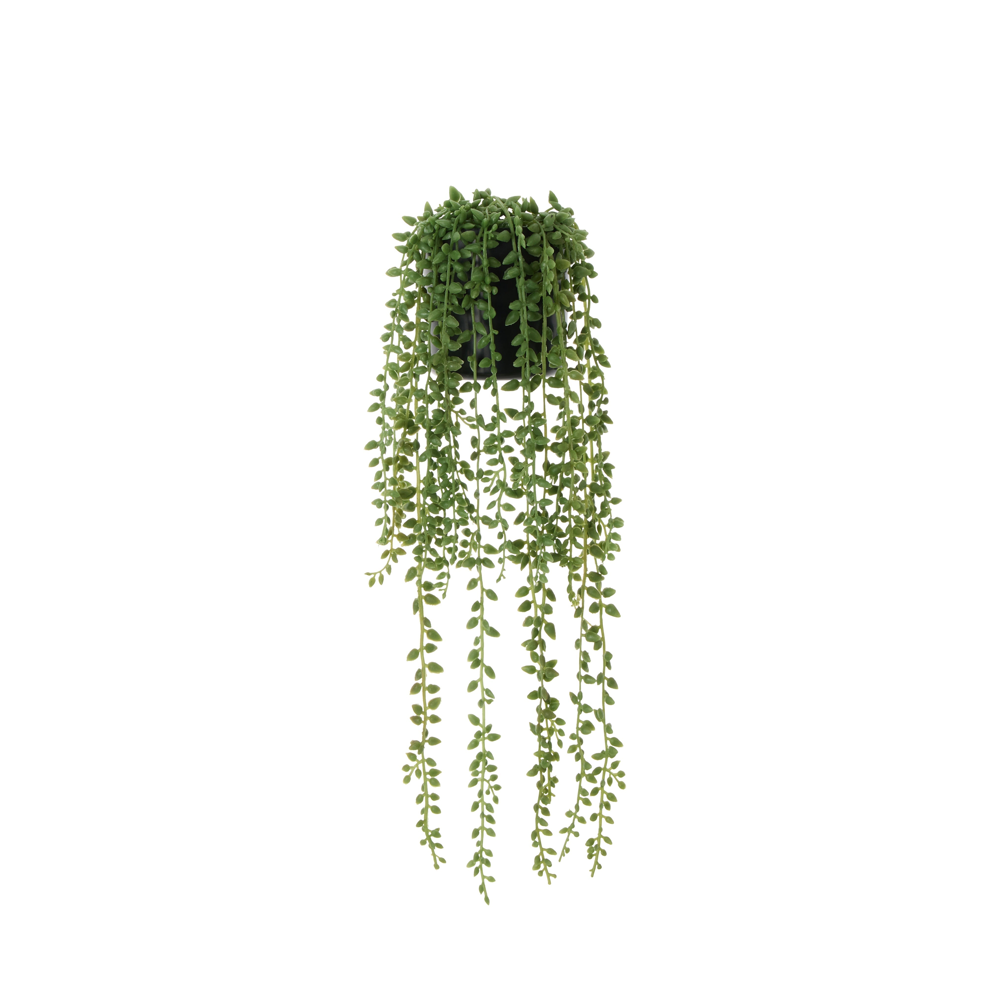 Rogue String of Teardrops - Garden Pot