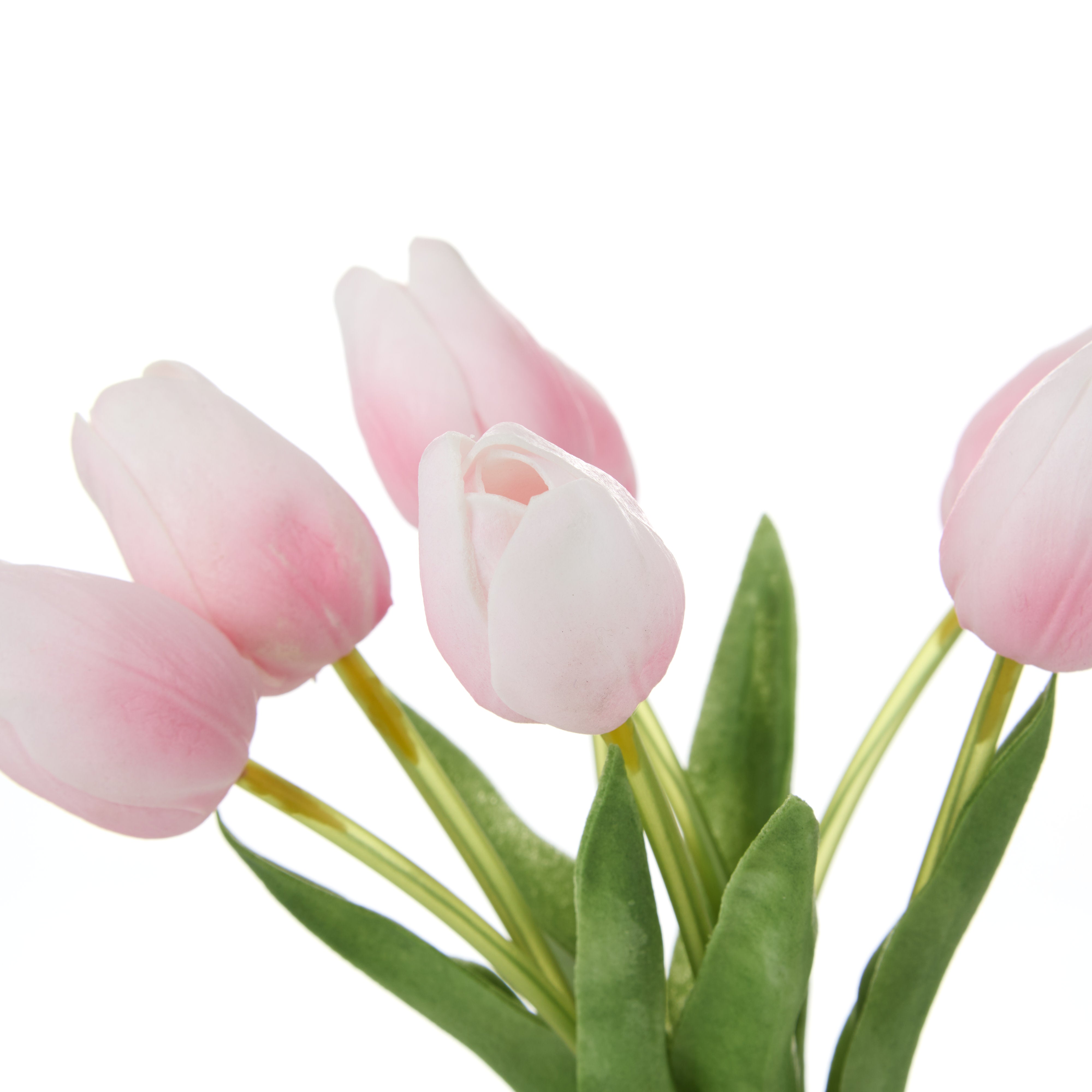 Rogue Tulip Bunch Pink 35cm