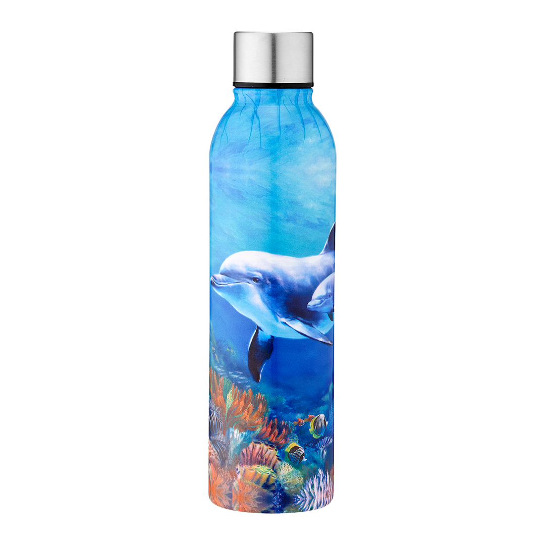 Ashdene Playful Dolphins Reef Exploring Drink Bottle