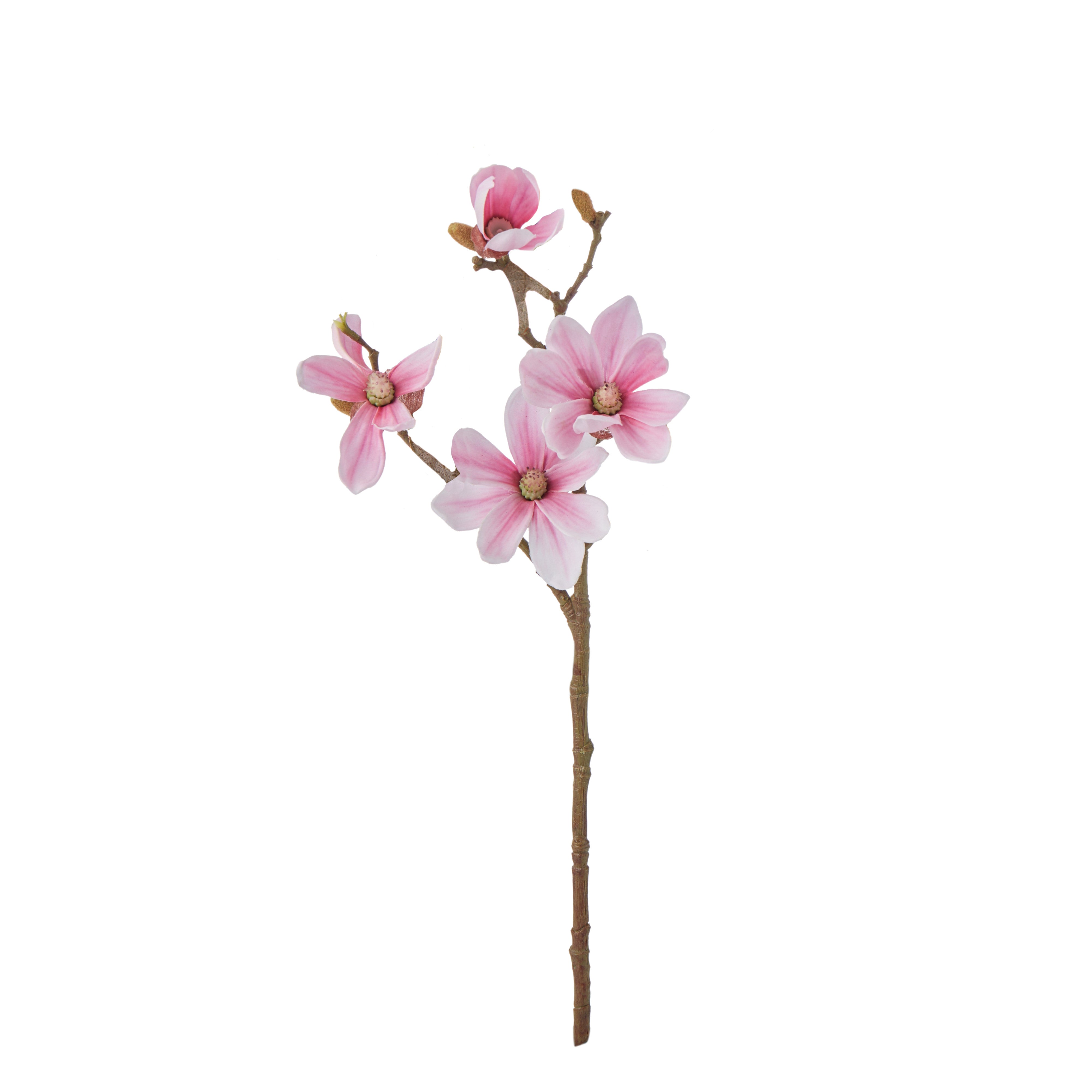 Rogue Mini Magnolia Spray Pink