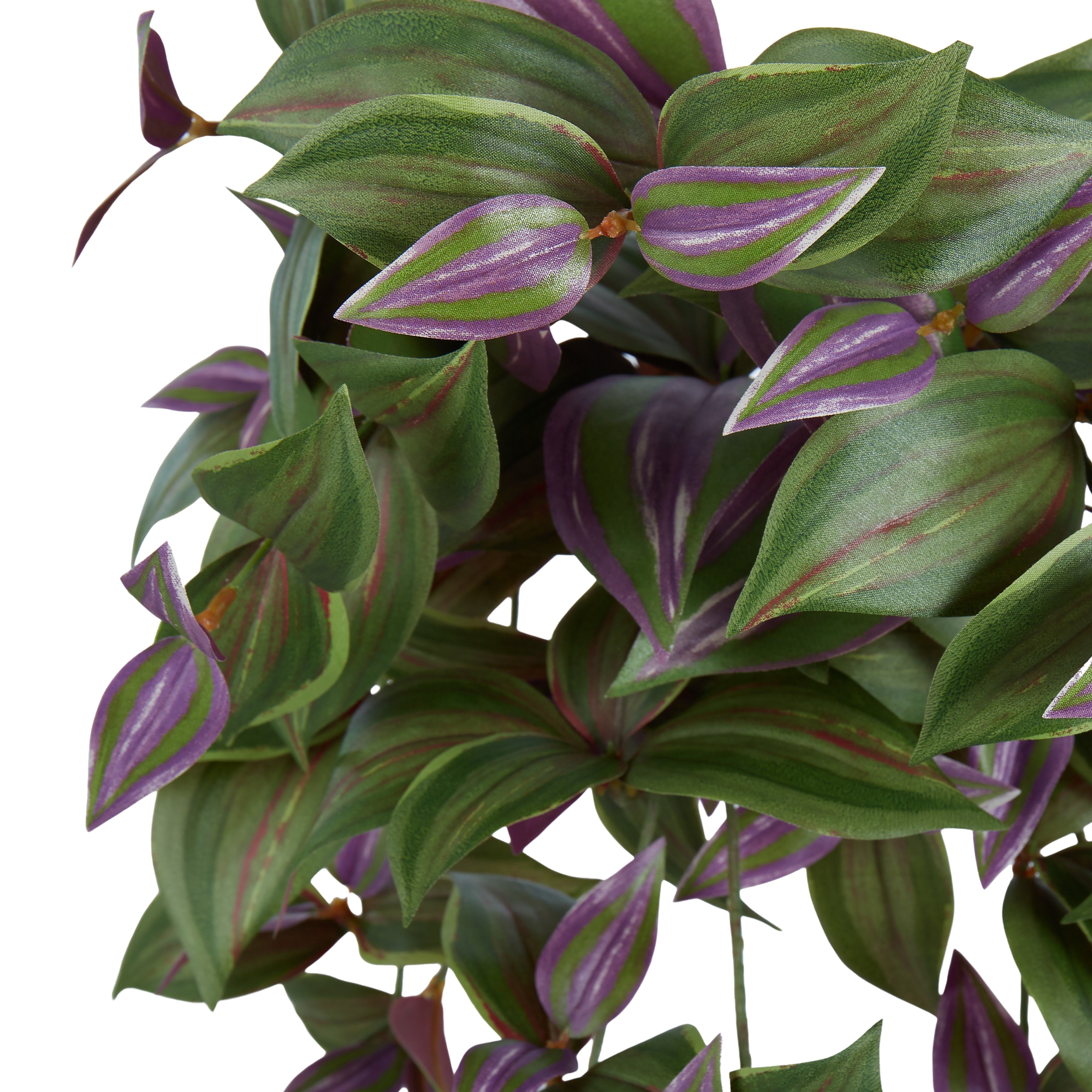 Rogue Wandering Dude Hanging Bush Green & Purple 52cm