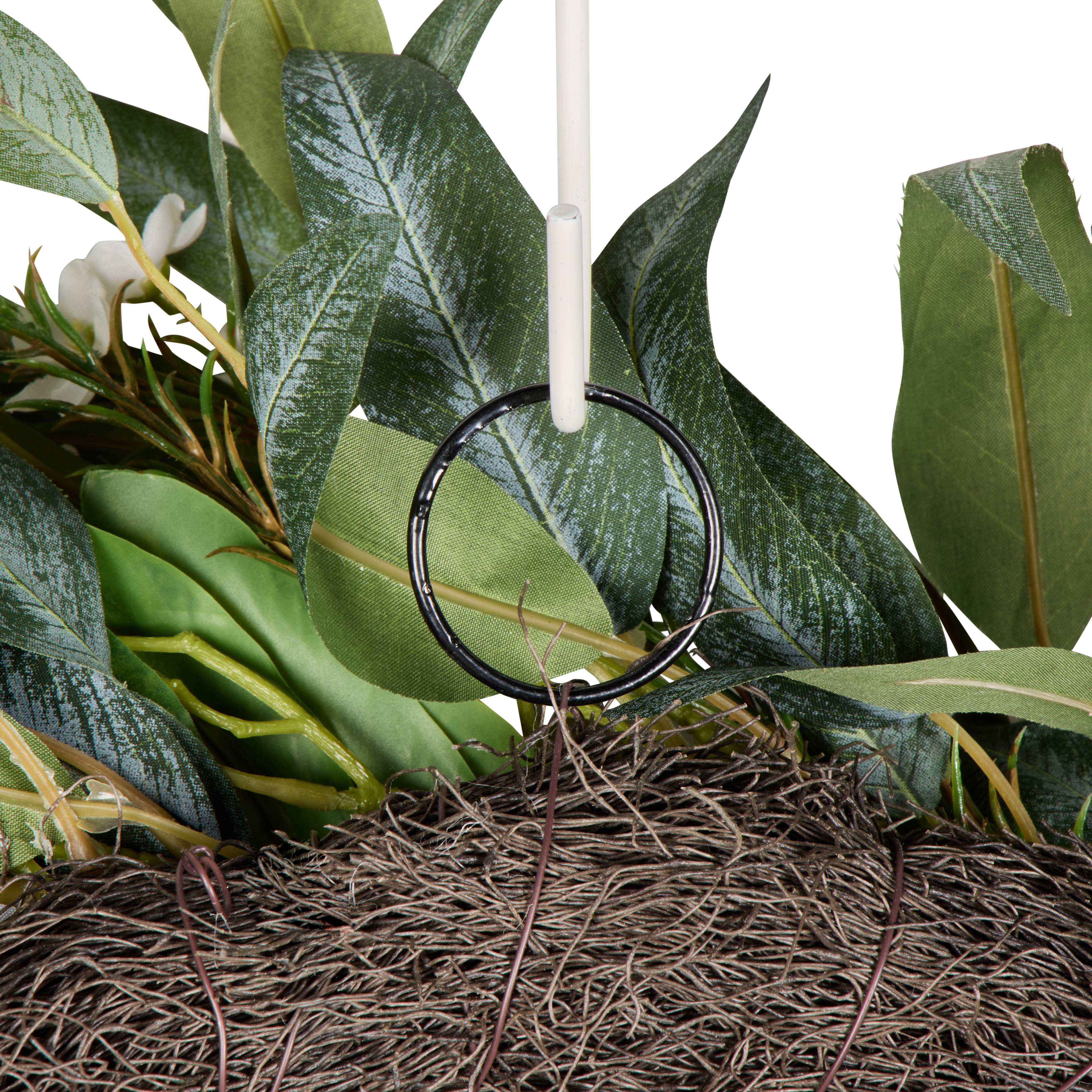 Rogue Pitaya Eucalyptus Wreath Pink