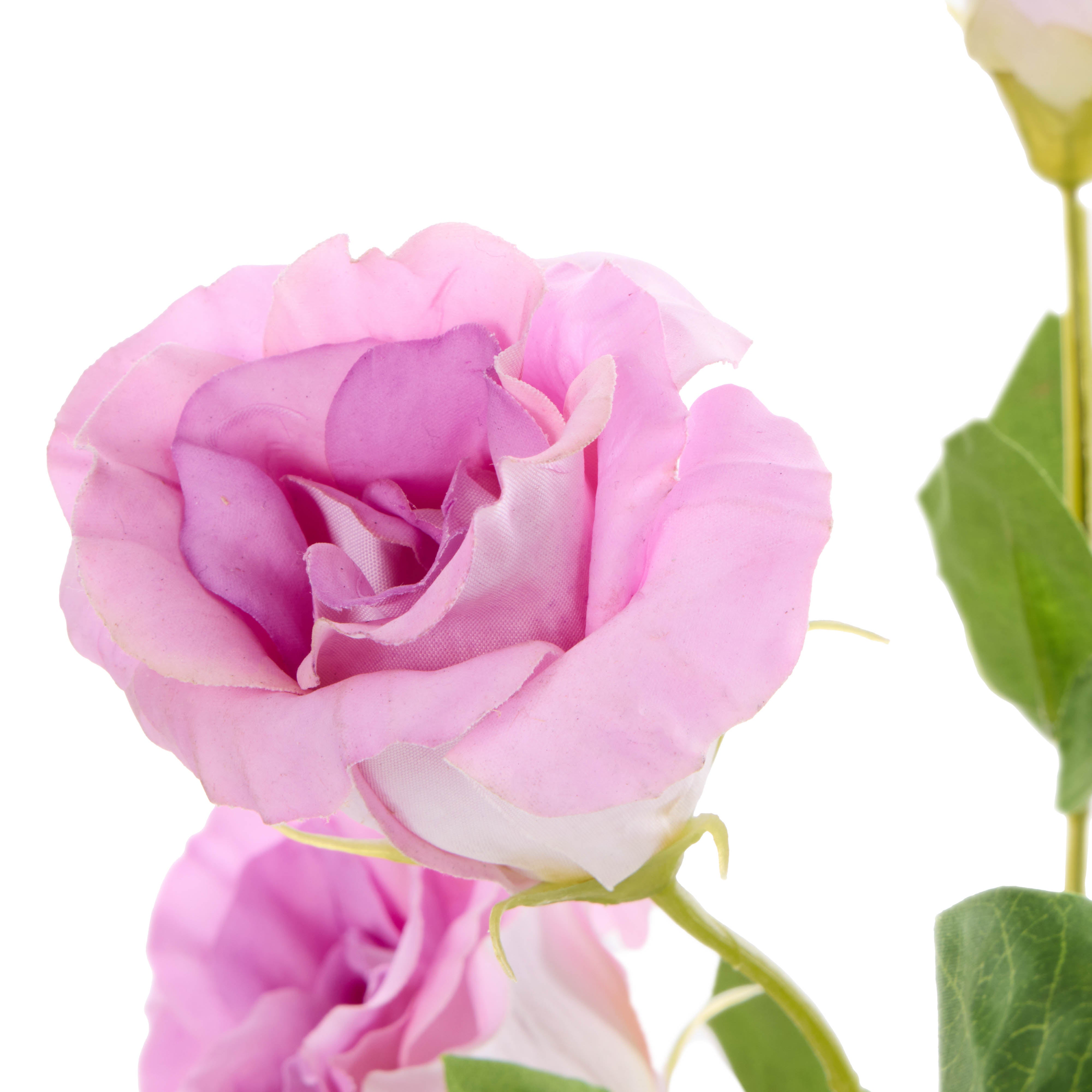 Rogue Lisianthus - Specimen Glass Vase Light Purple