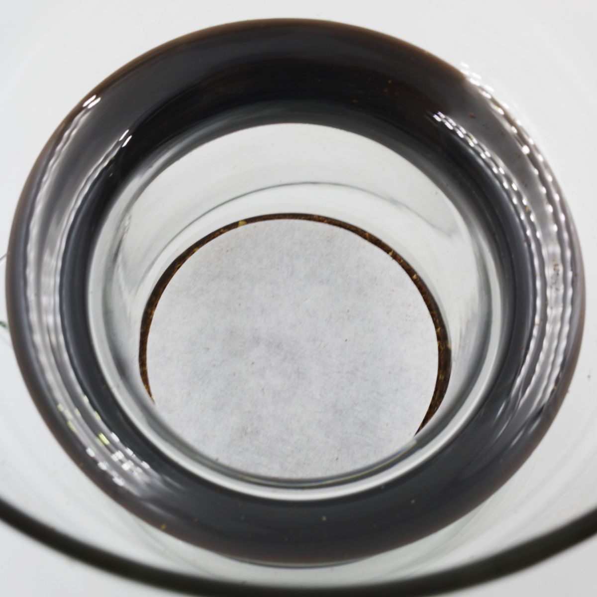 Bruer Paper Filters (350pk)