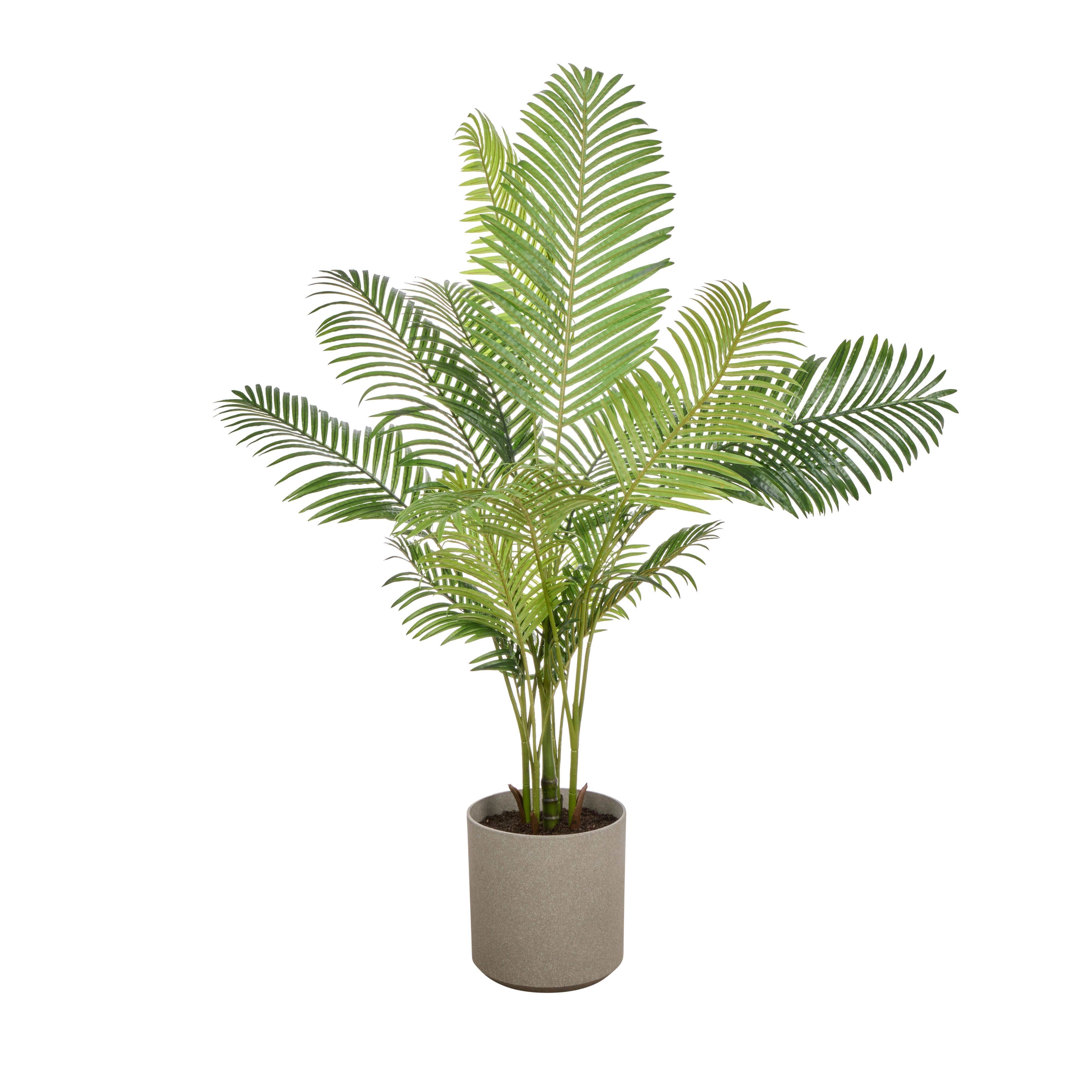 Rogue Areca Palm - Cylinder UV Green 189cm