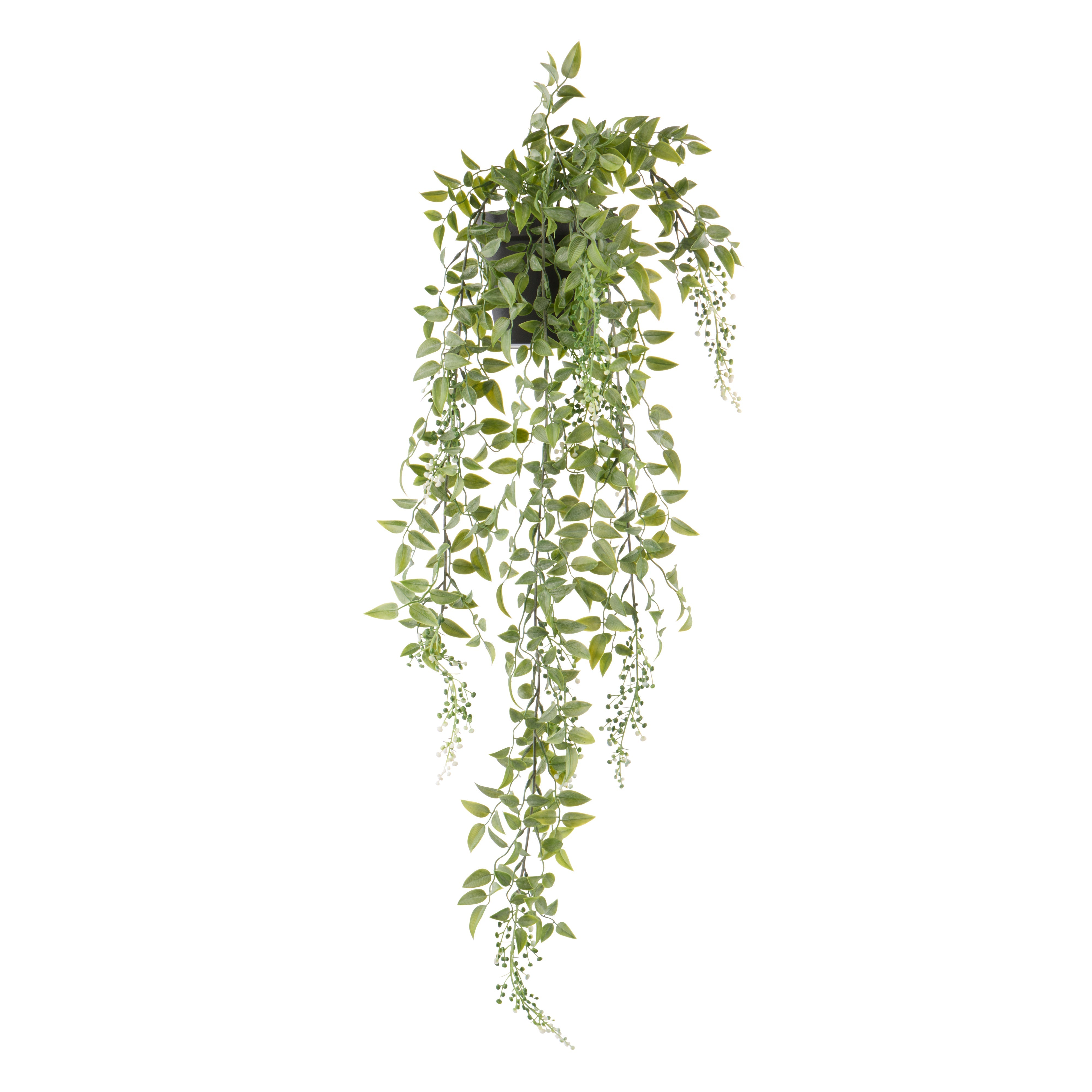 Rogue Budding Hanging Bush - Garden Pot Green & White