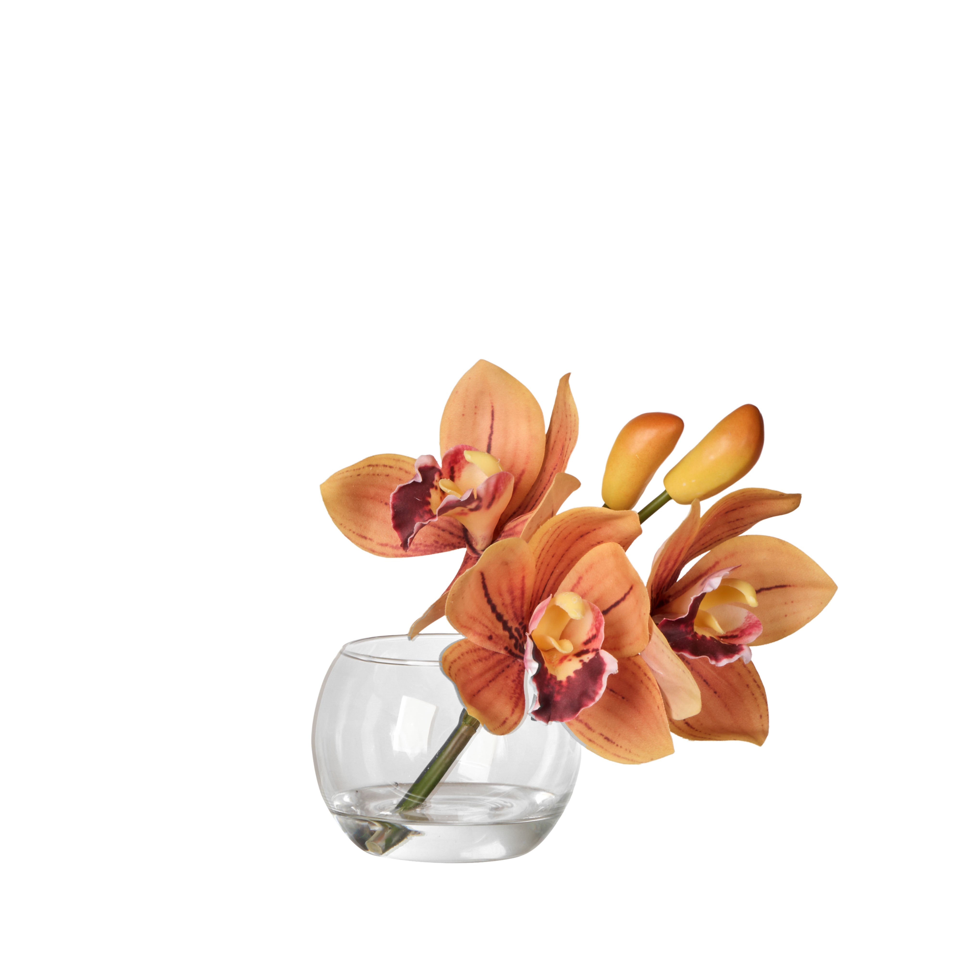 Rogue Cymbidium-Glass Vase Orange 16cm