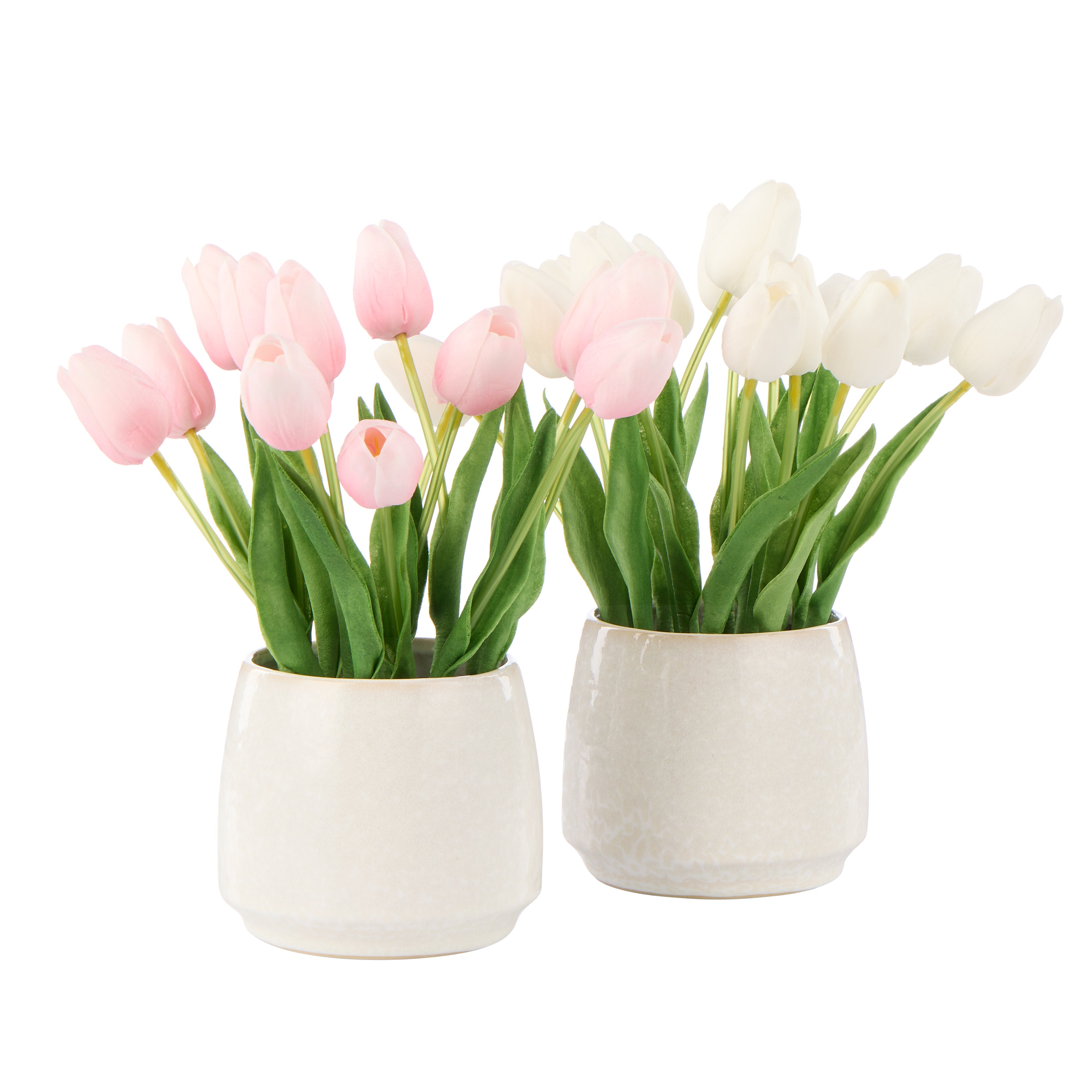 Rogue Tulip Bunch - Gianna Pot