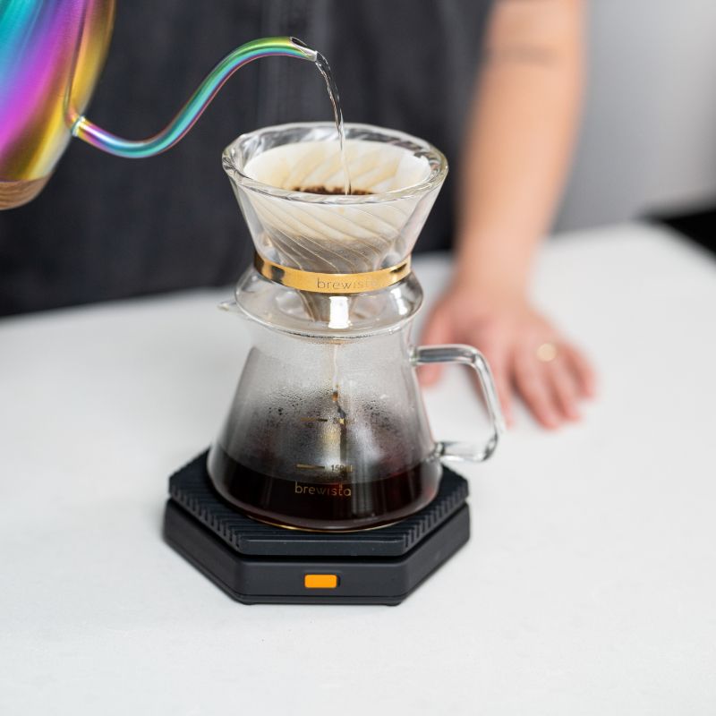Brewista Next Wave Duo Double Wall Dripper 2 Cup