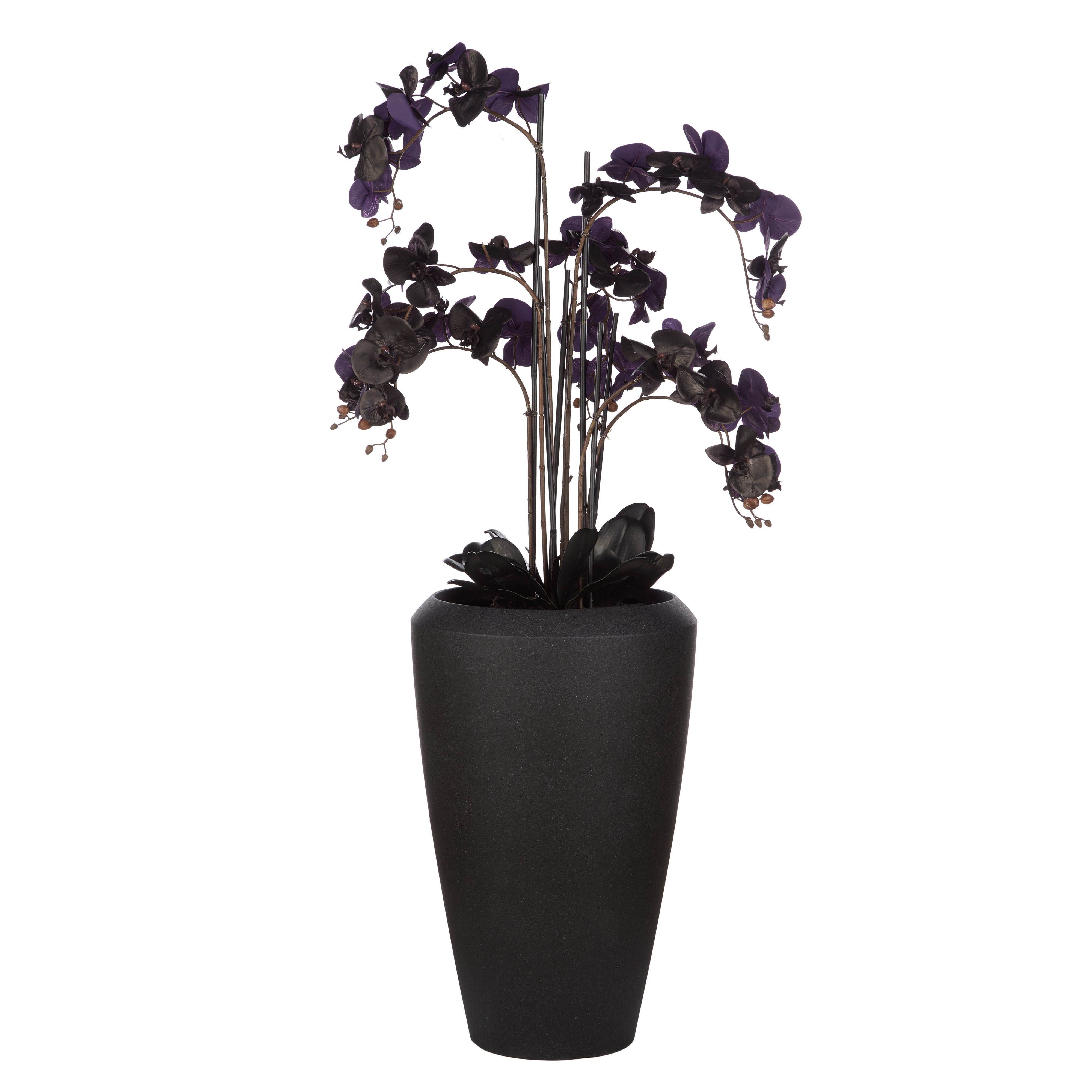Rogue Phalaenopsis Orchid - Vienna Tall Planter