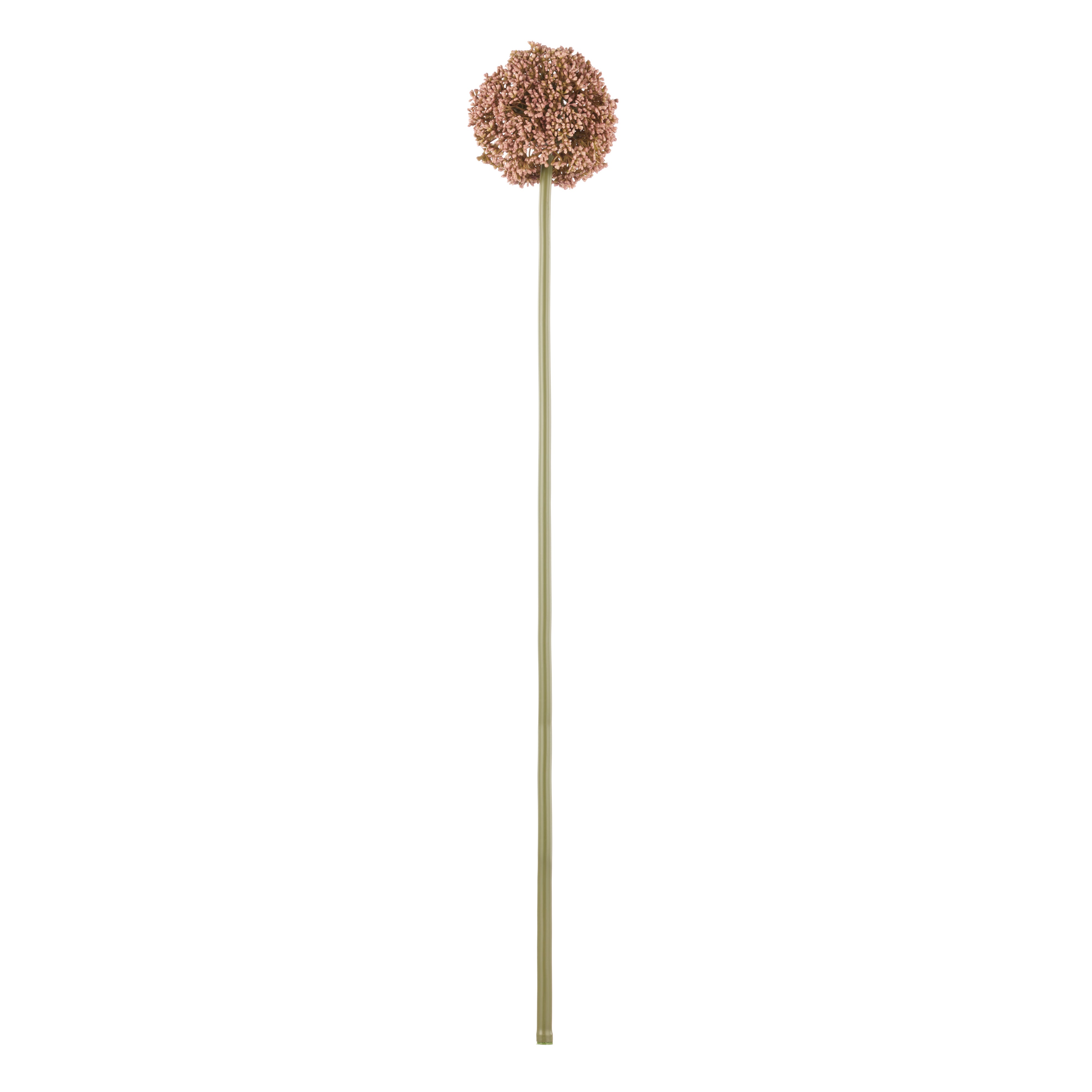 Rogue Allium Spray Mauve