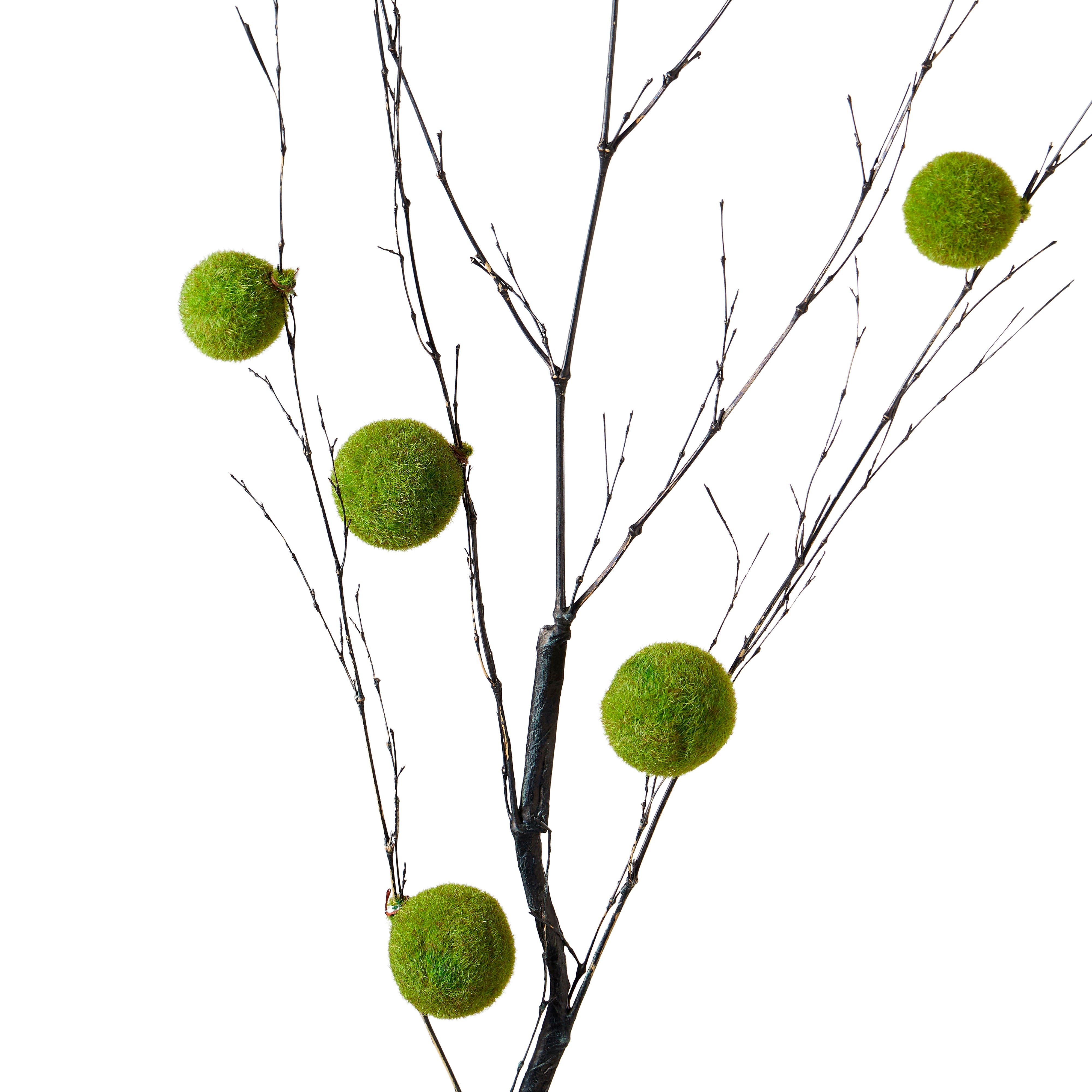 Rogue Moss Ball Branch