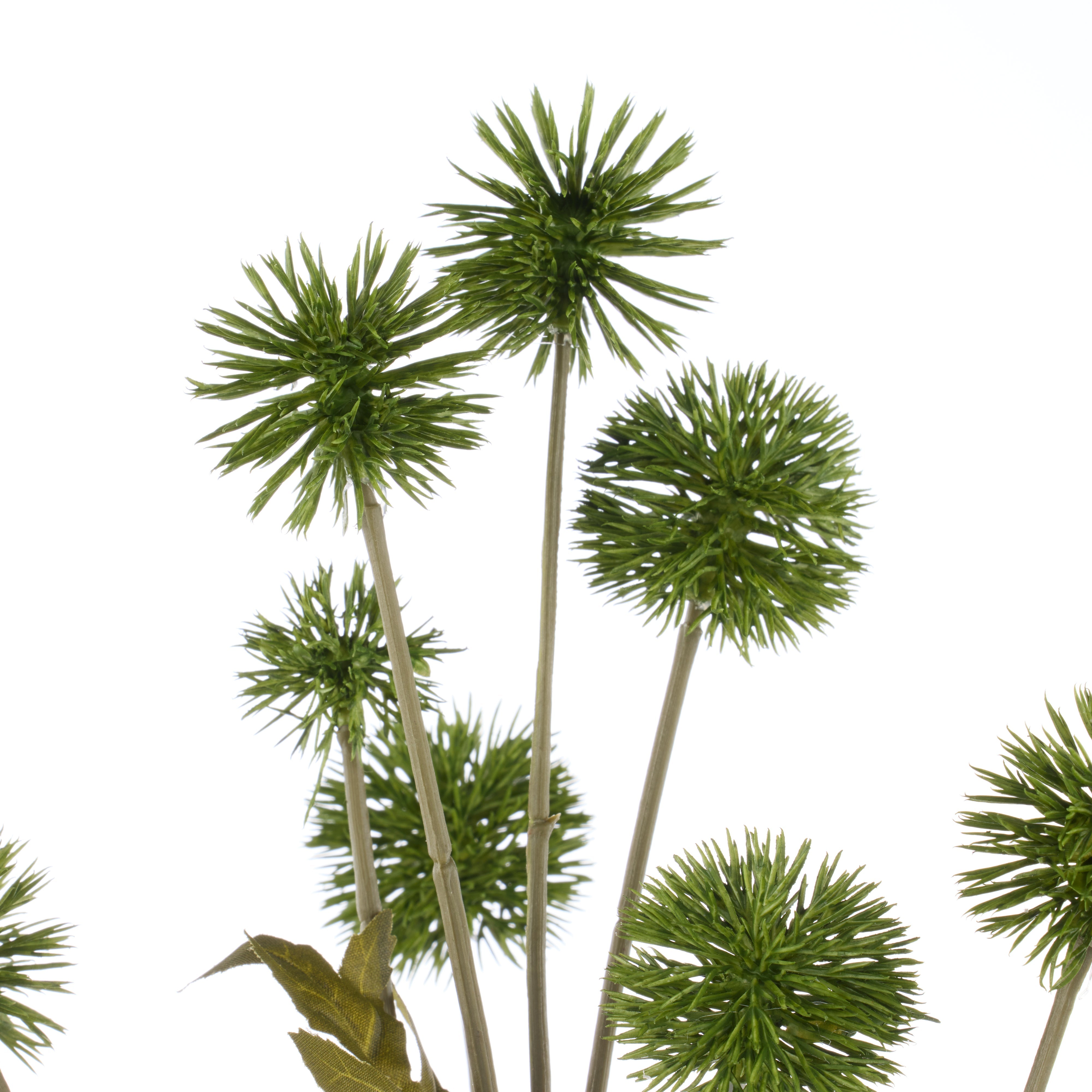 Rogue Pompom Spray Green