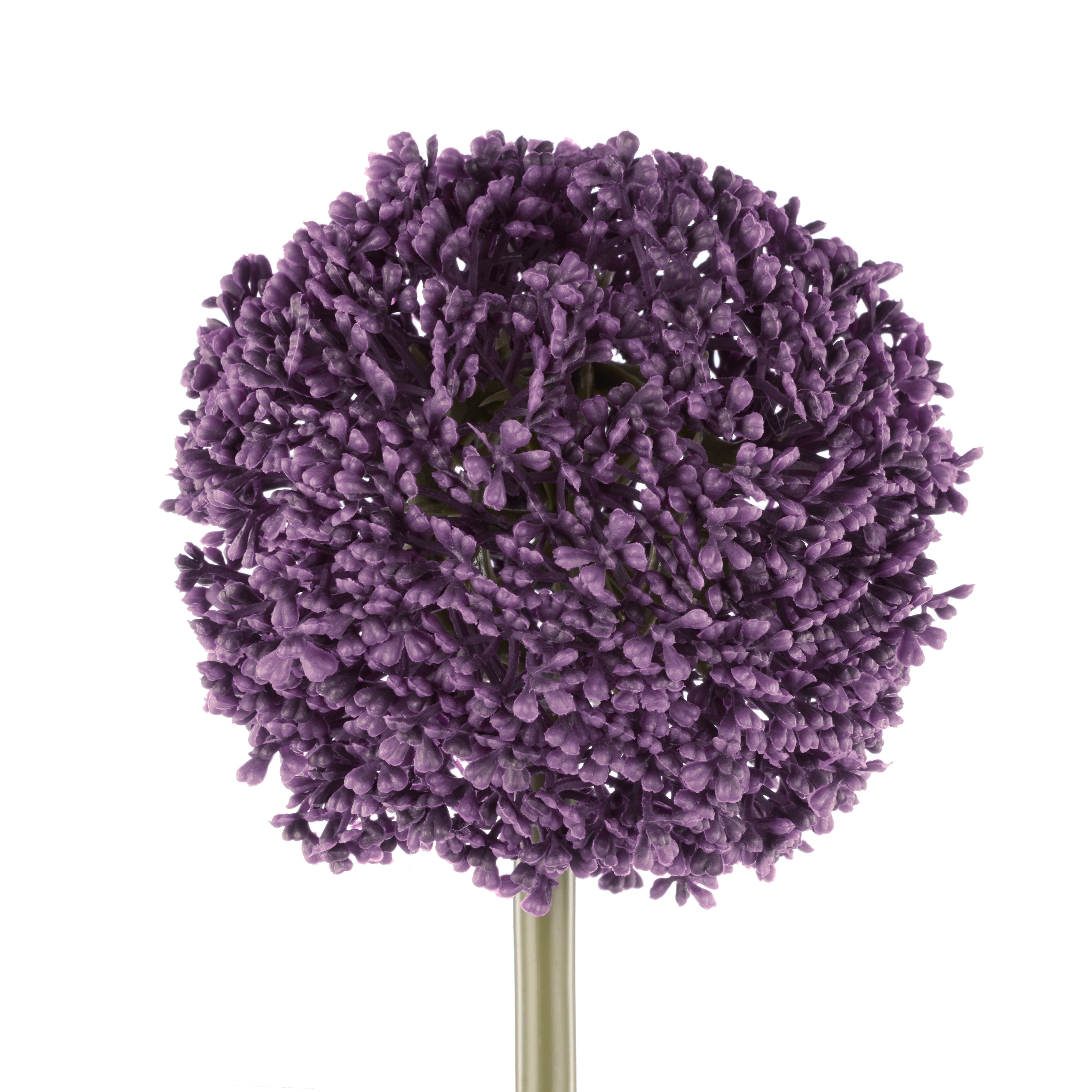 Rogue Allium Spray Grey Purple