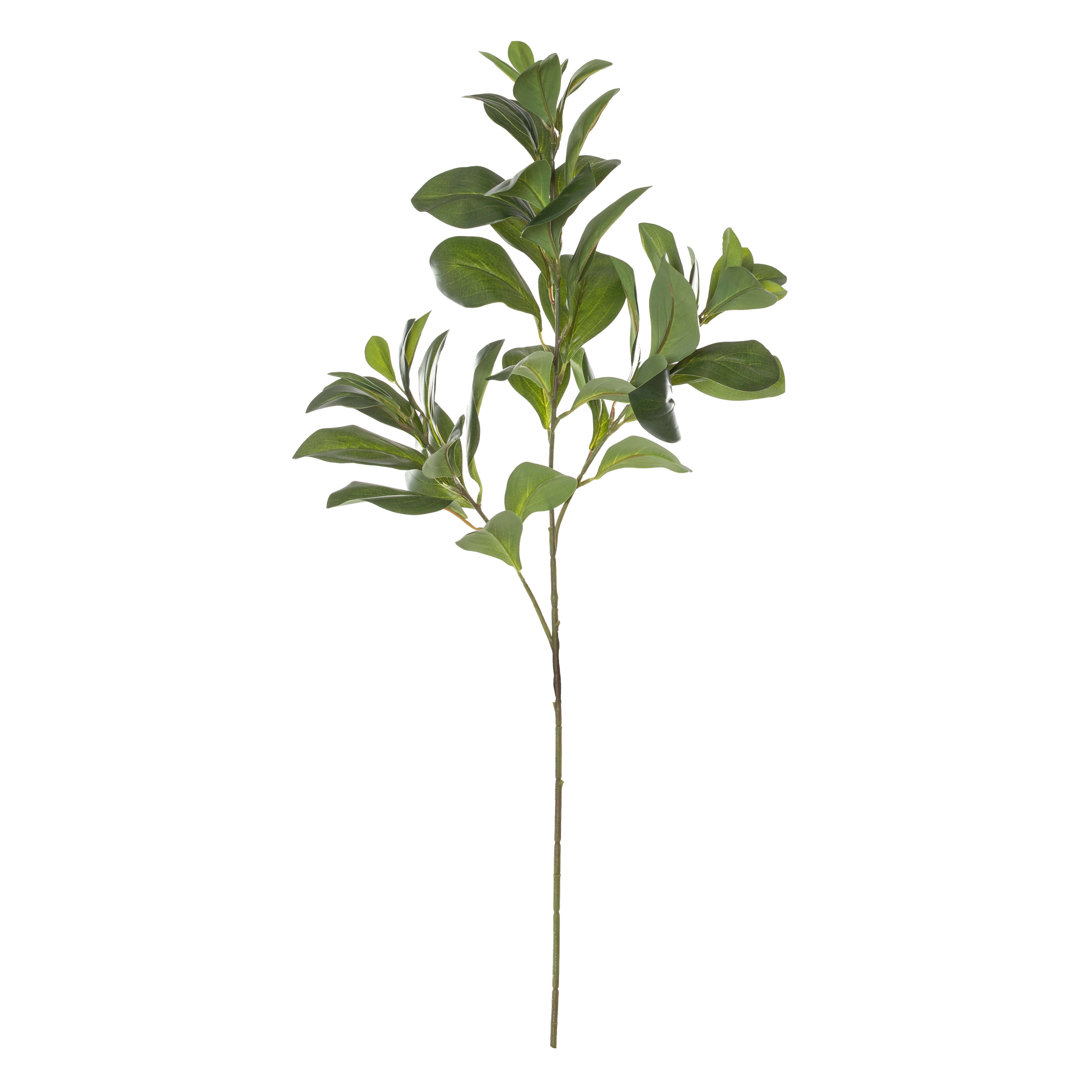 Rogue Lush Leaf Spray