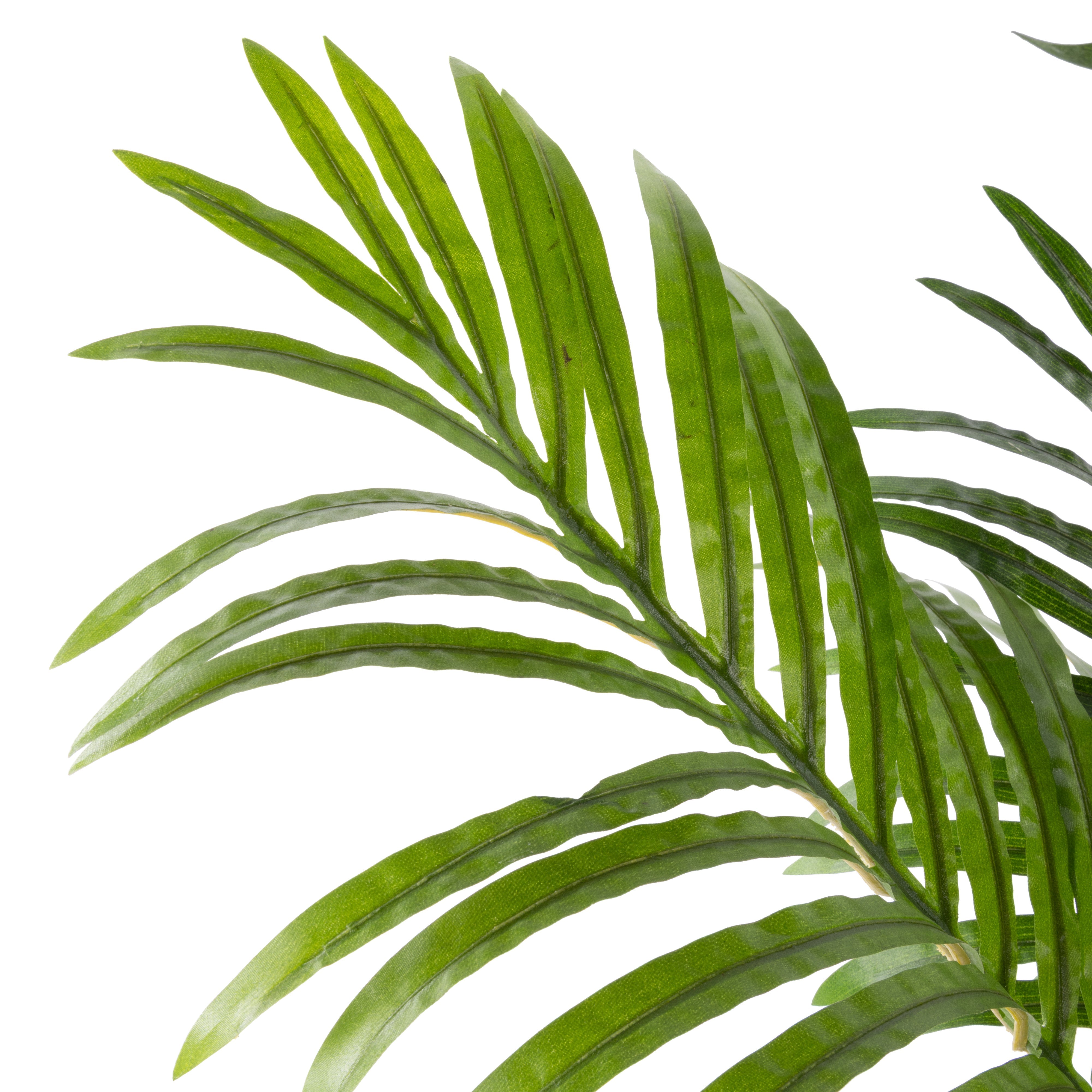 Rogue Areca Palm UV - Garden Pot 140cm