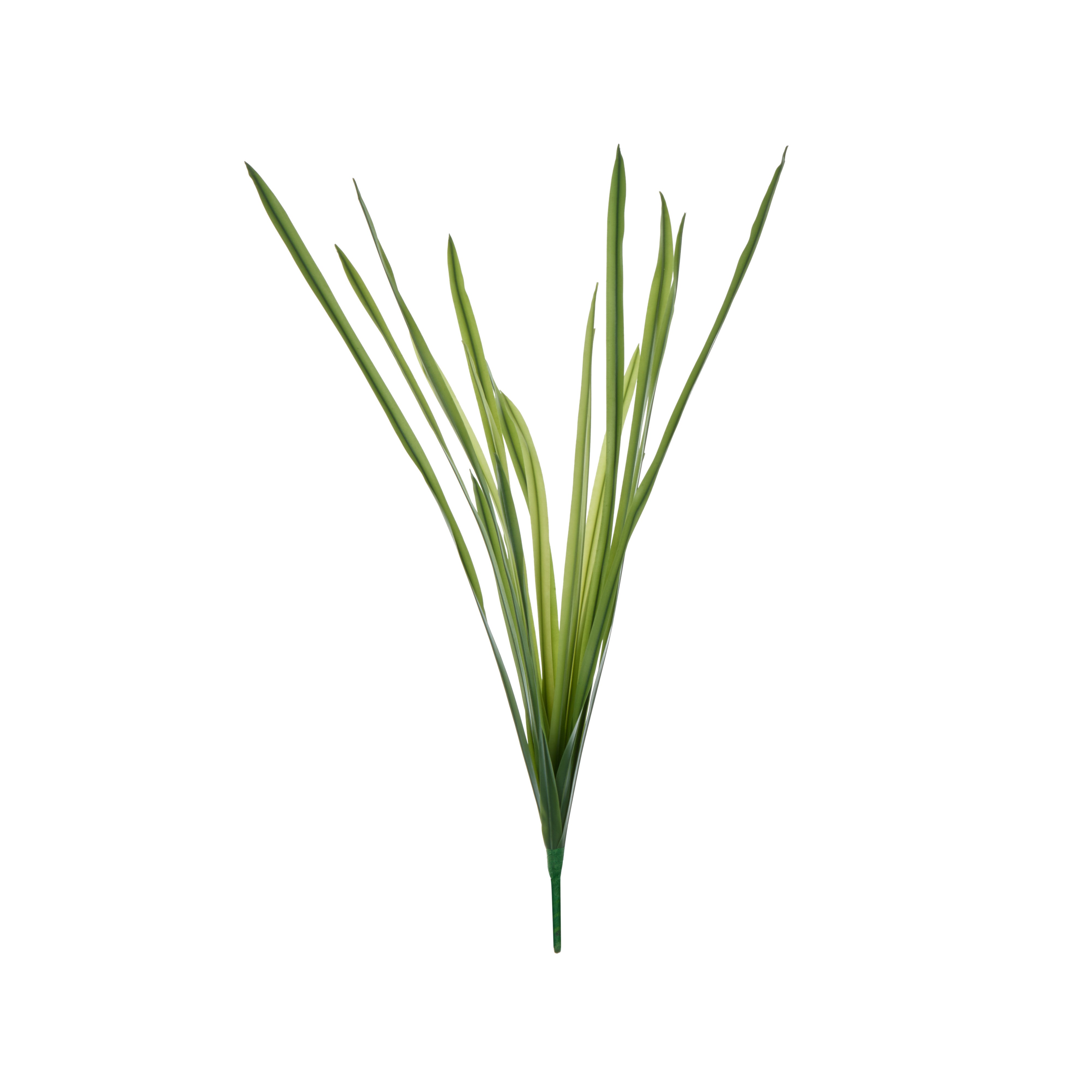 Rogue Grass Plant Spray