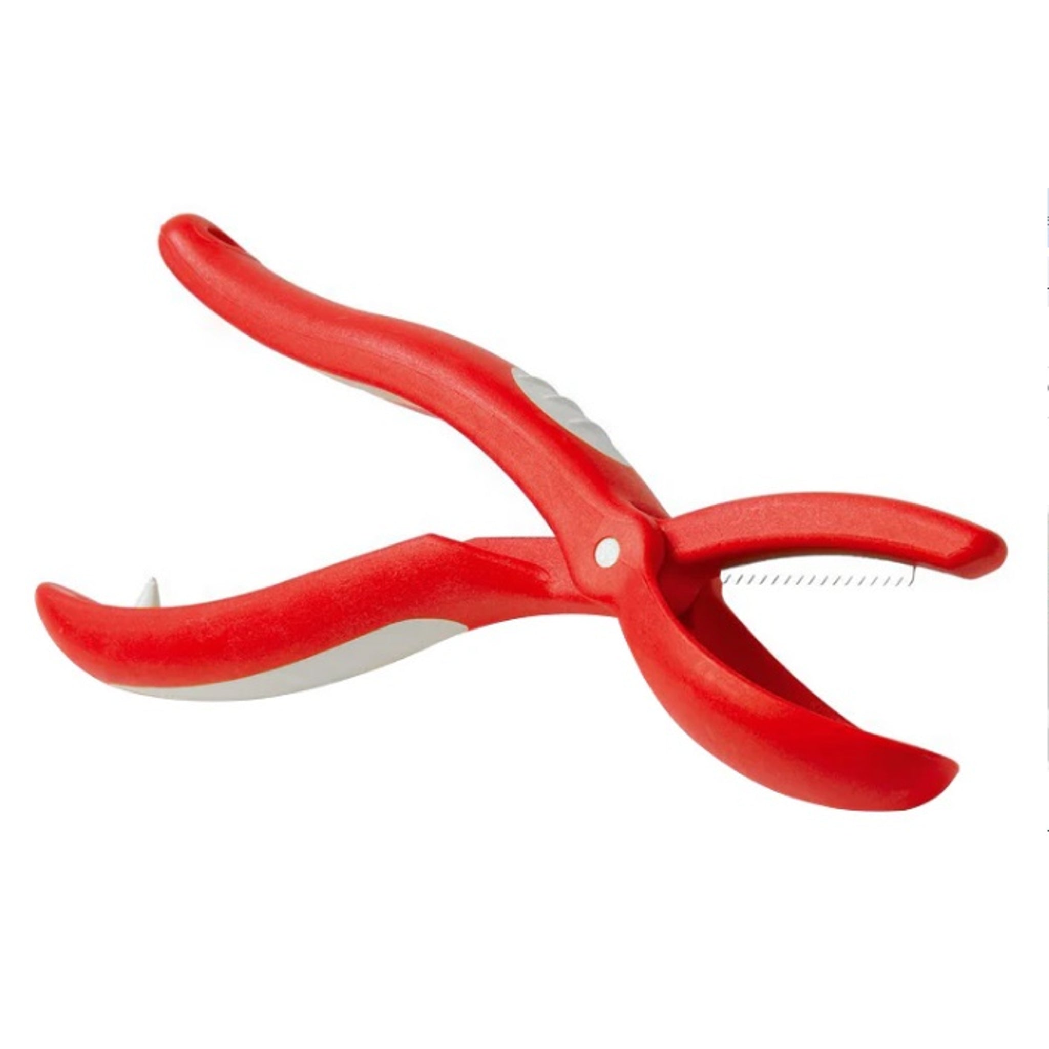 Snips Chestnut Cutter (Il Taglia Castagne)