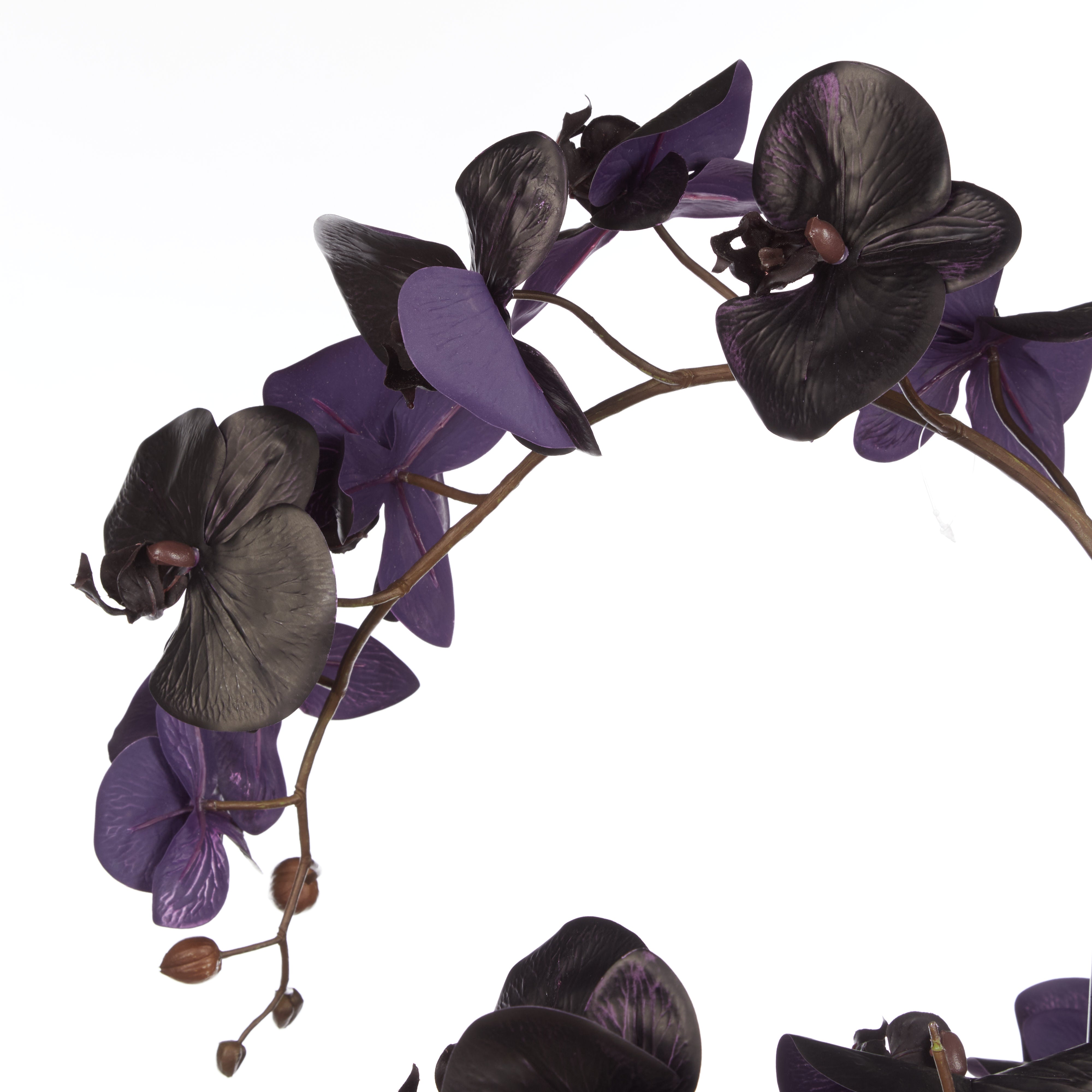 Rogue Phalaenopsis Orchid - Vienna Tall Planter