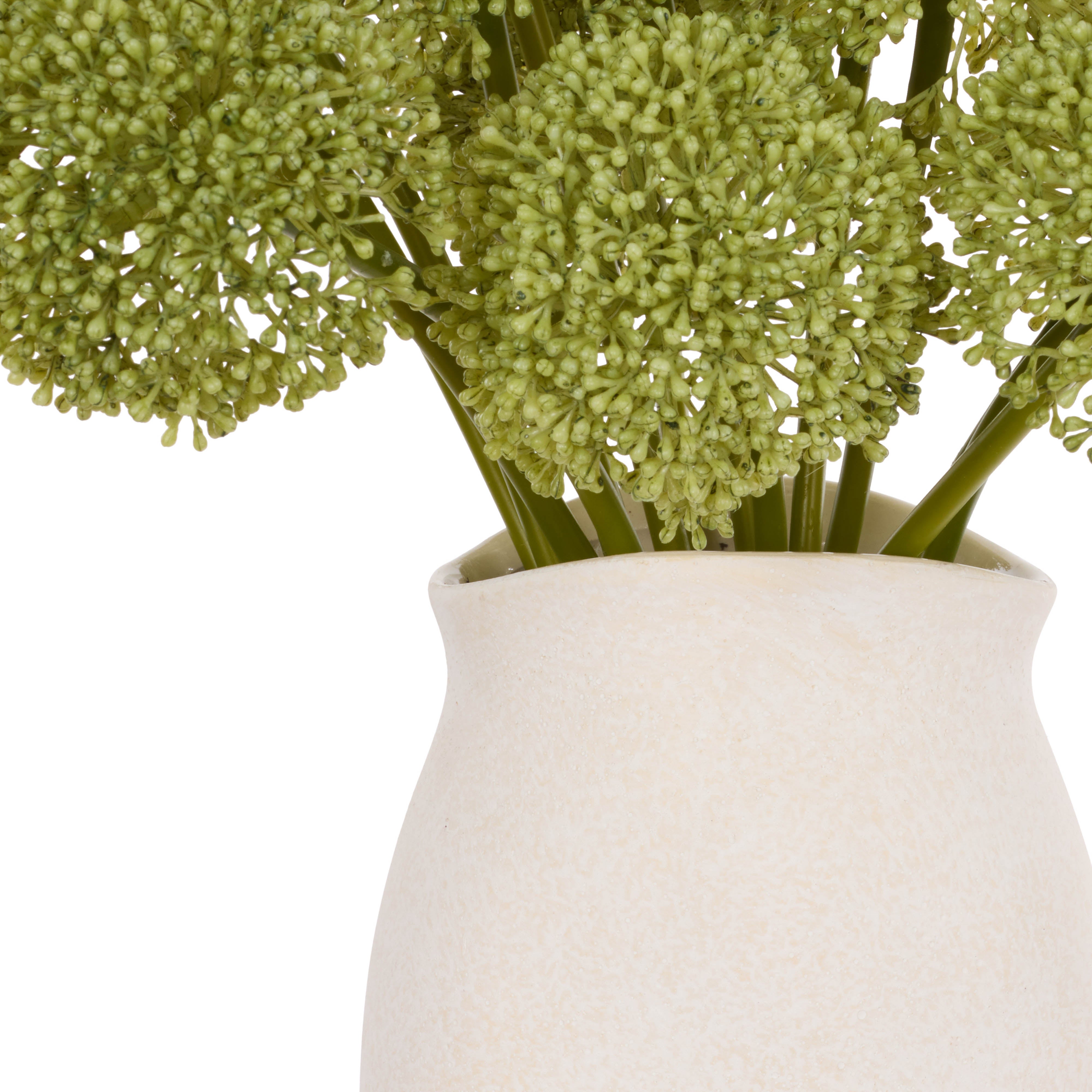 Rogue Buddleia - Maliah Pot