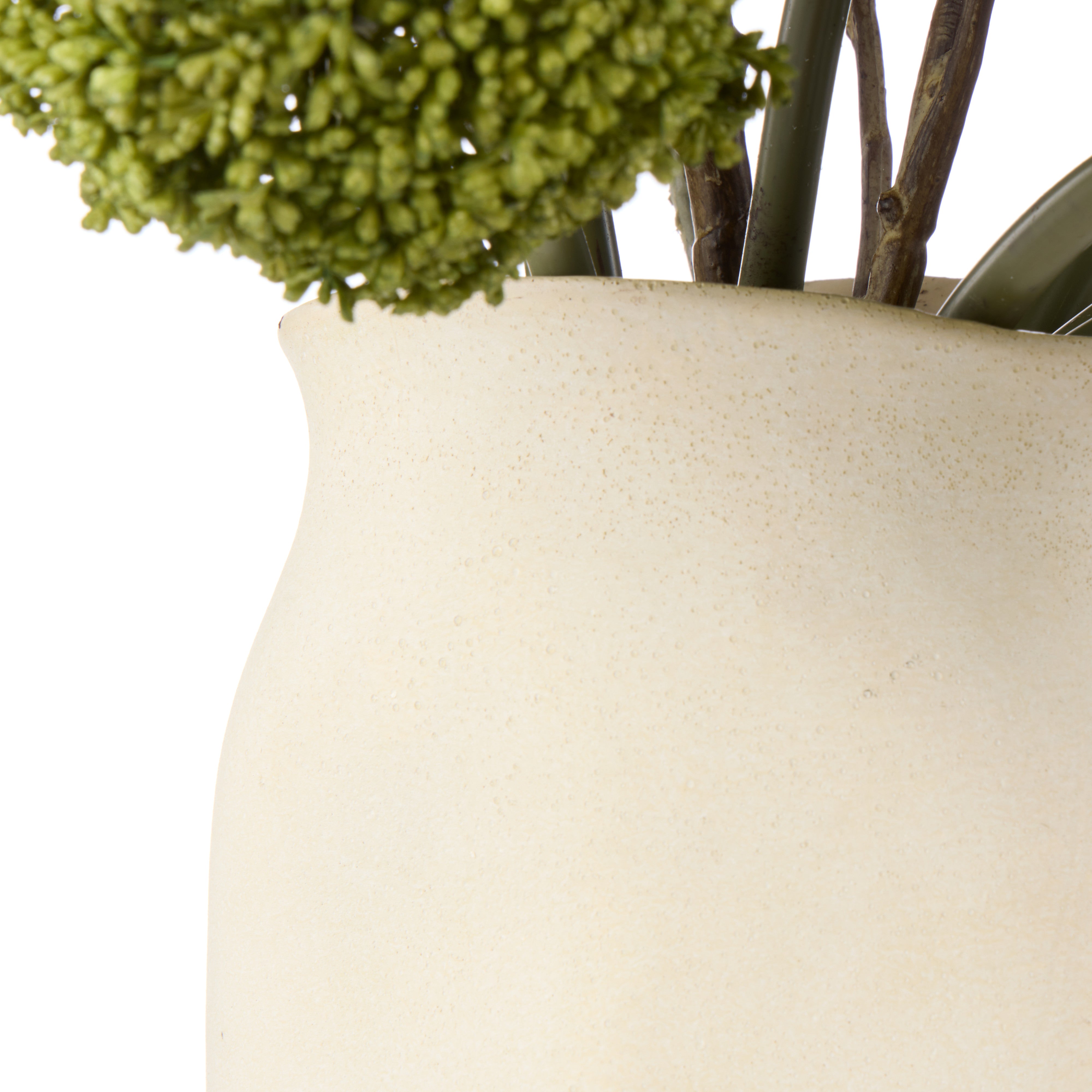 Rogue Allium - Maliah Pot Green
