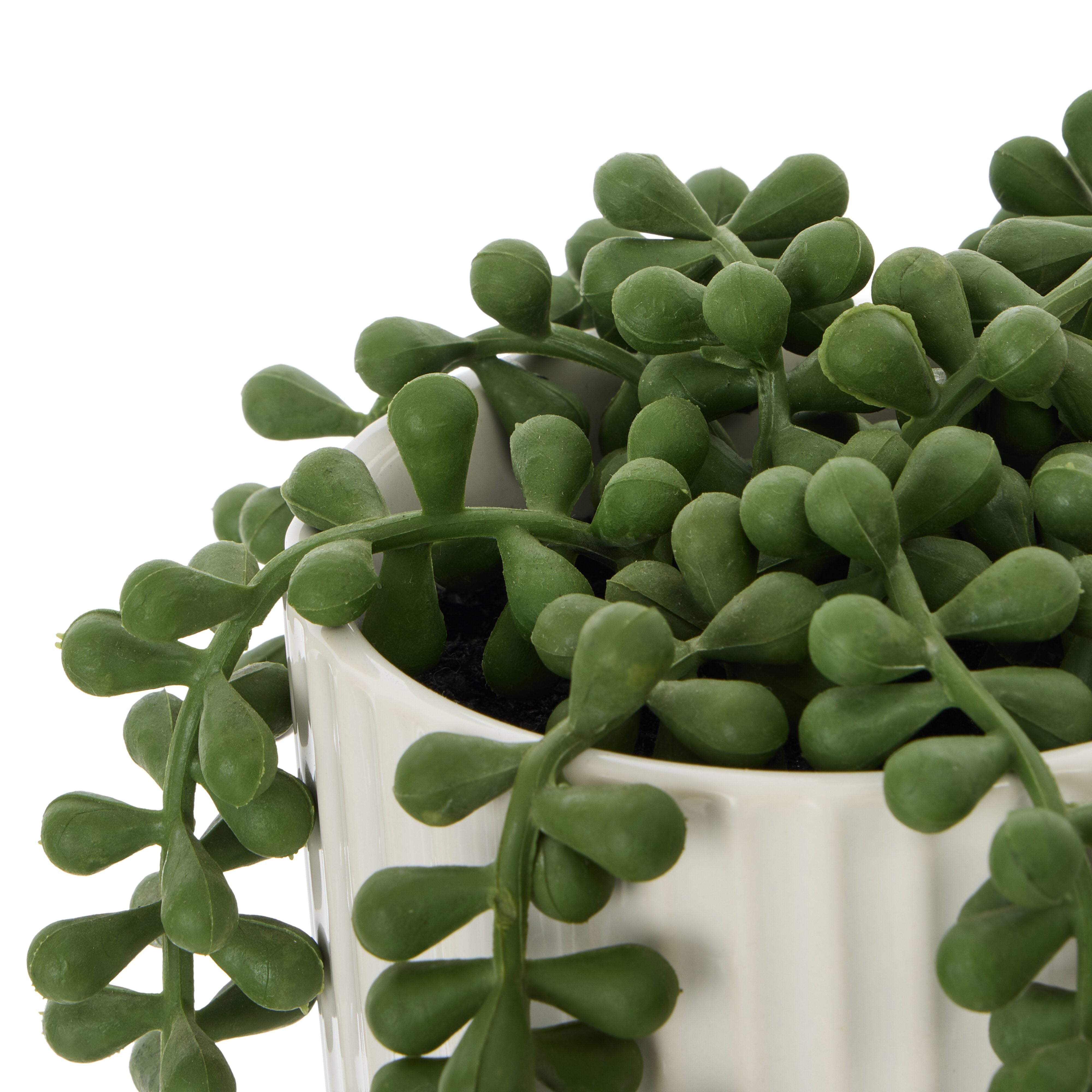 Rogue String of Pearls Pot Green & White