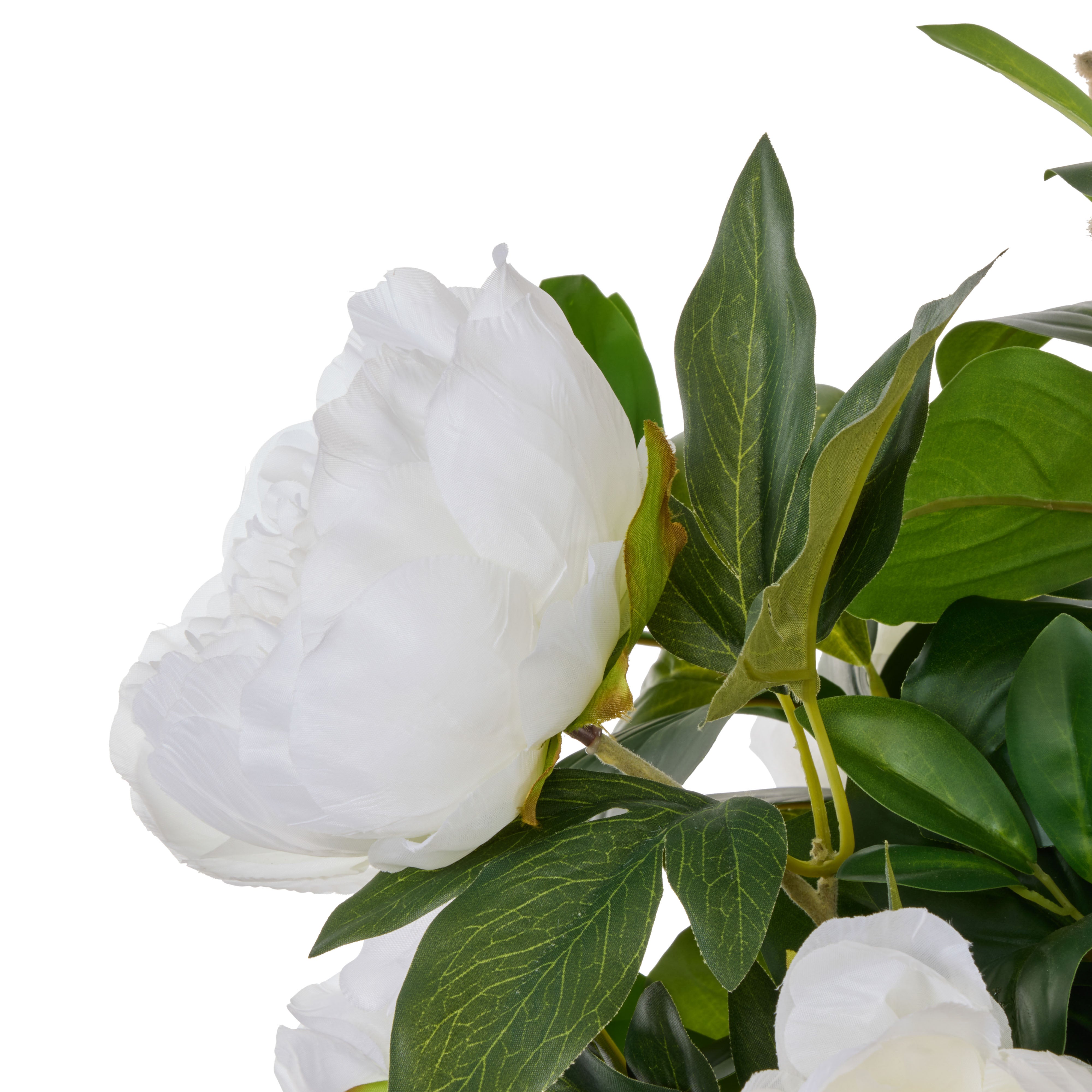 Rogue Peony Lush Leaf - Alana White & Green