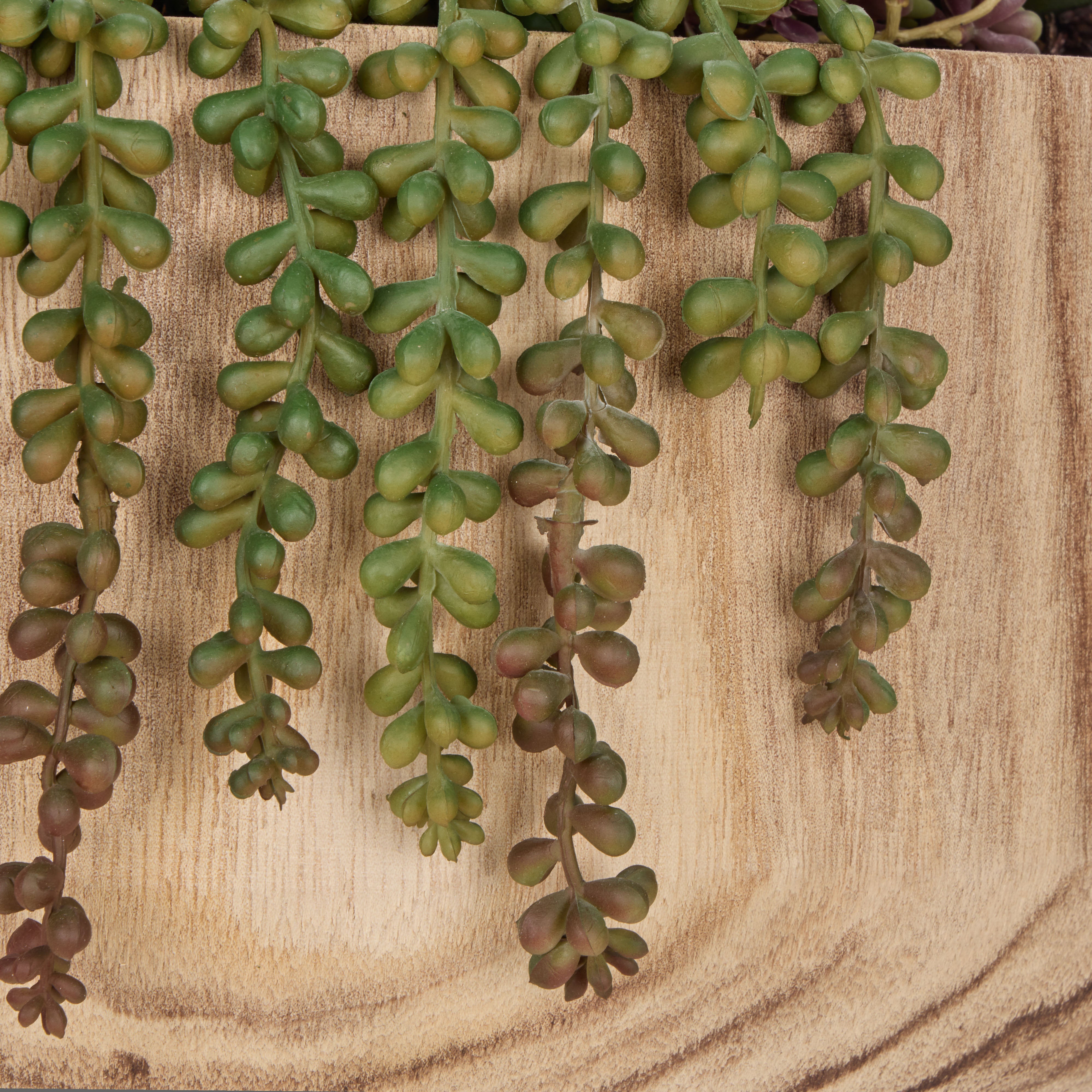 Rogue Jelly Bean Sedum Mix - Dansk Green & Burgundy
