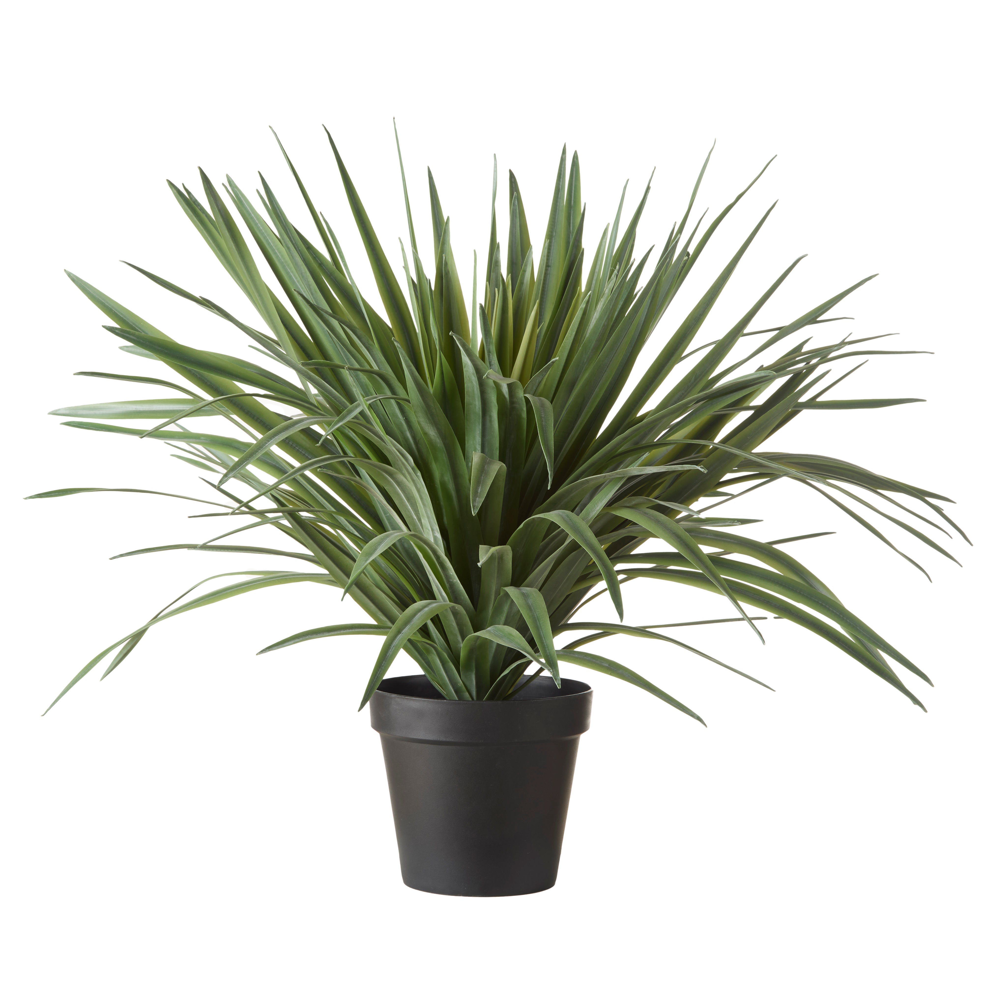 Rogue Sisal Plant UV 68cm