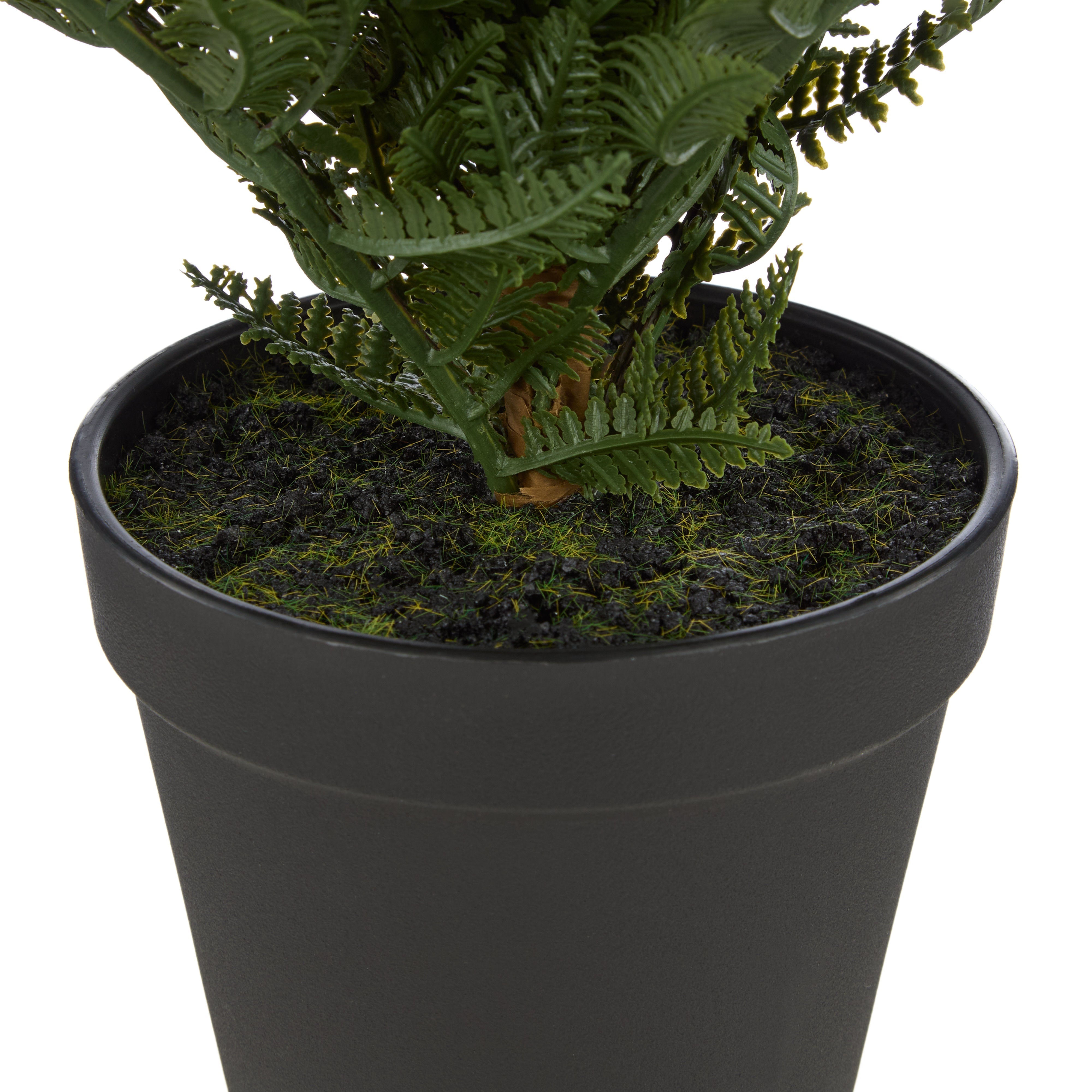 Rogue Leatherleaf Fern 41cm