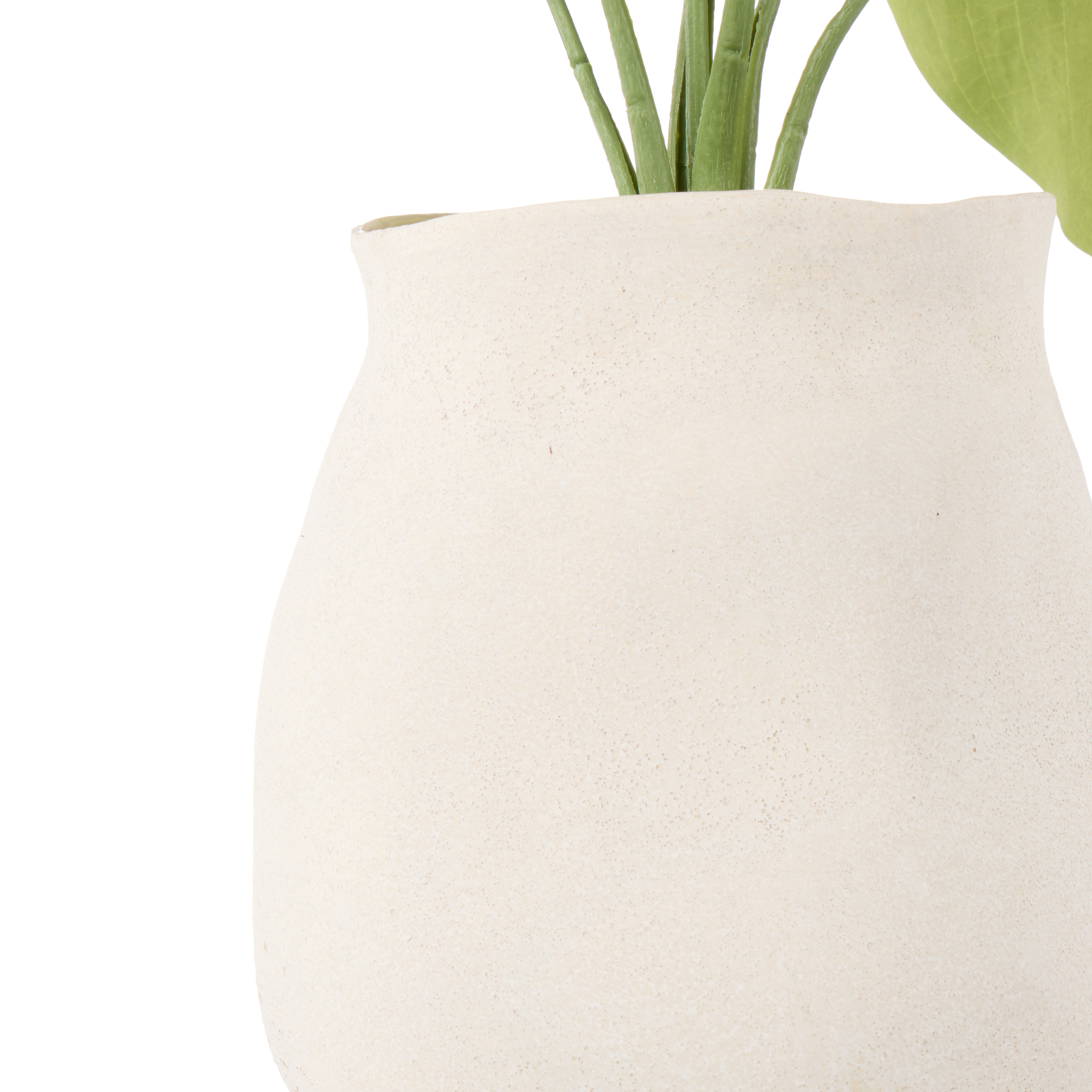 Rogue Hosta Plant - Maliah Pot