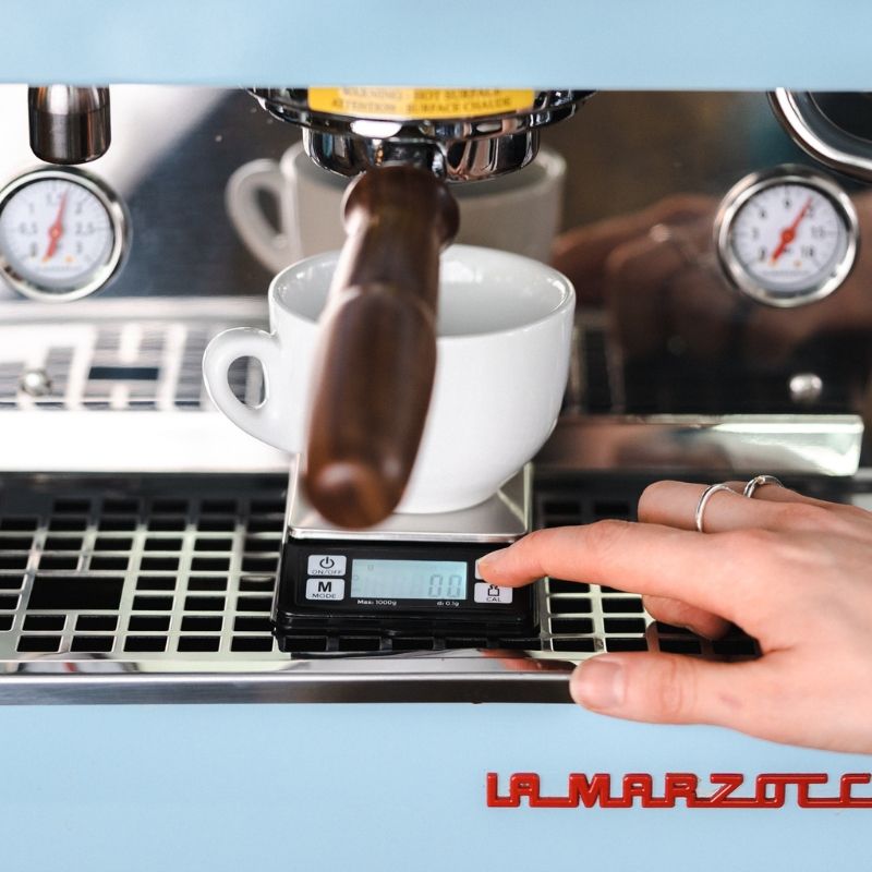 Rhino Dosing Scale - 1kg