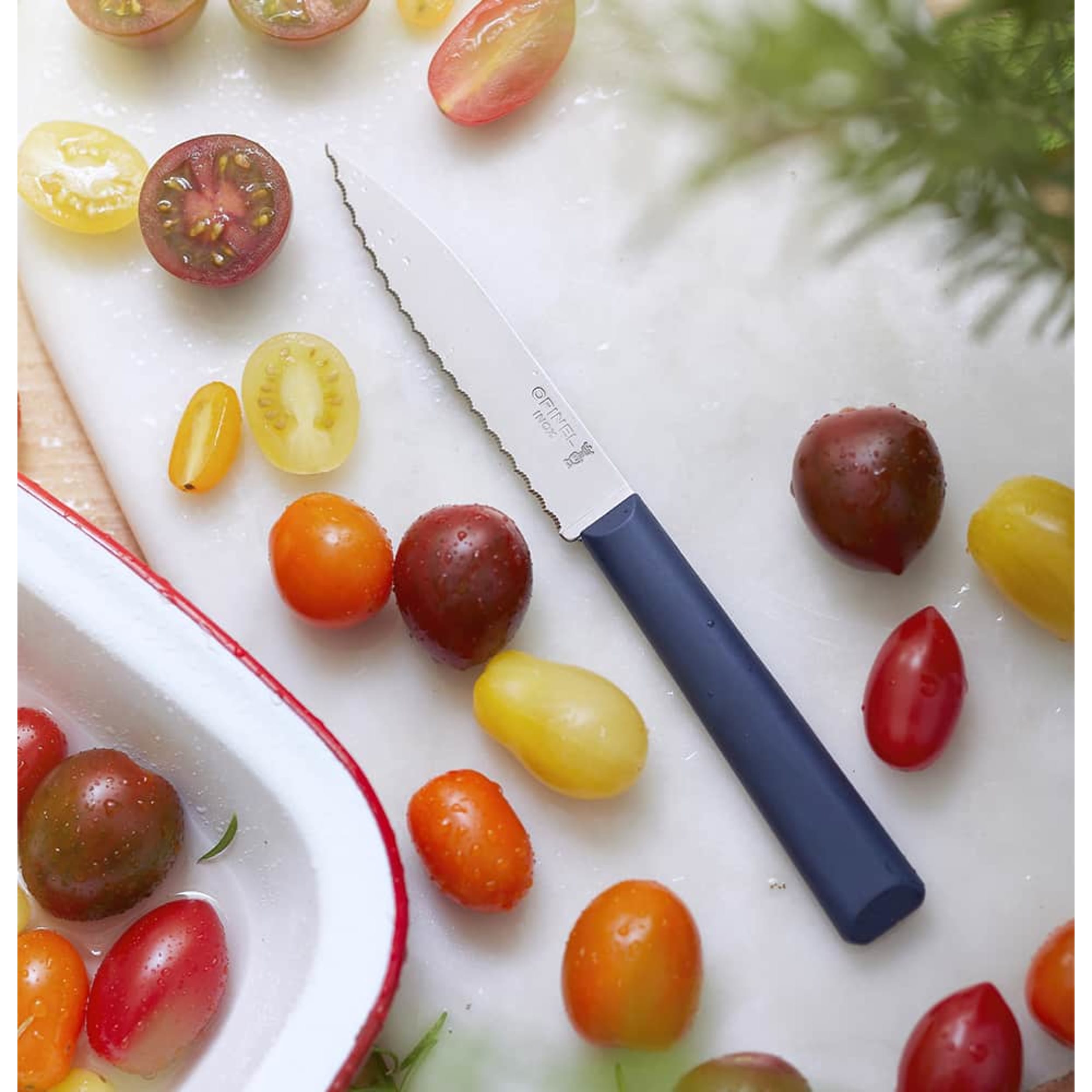 Opinel Les Essentiels Plus No.313 Serrated Knife Red