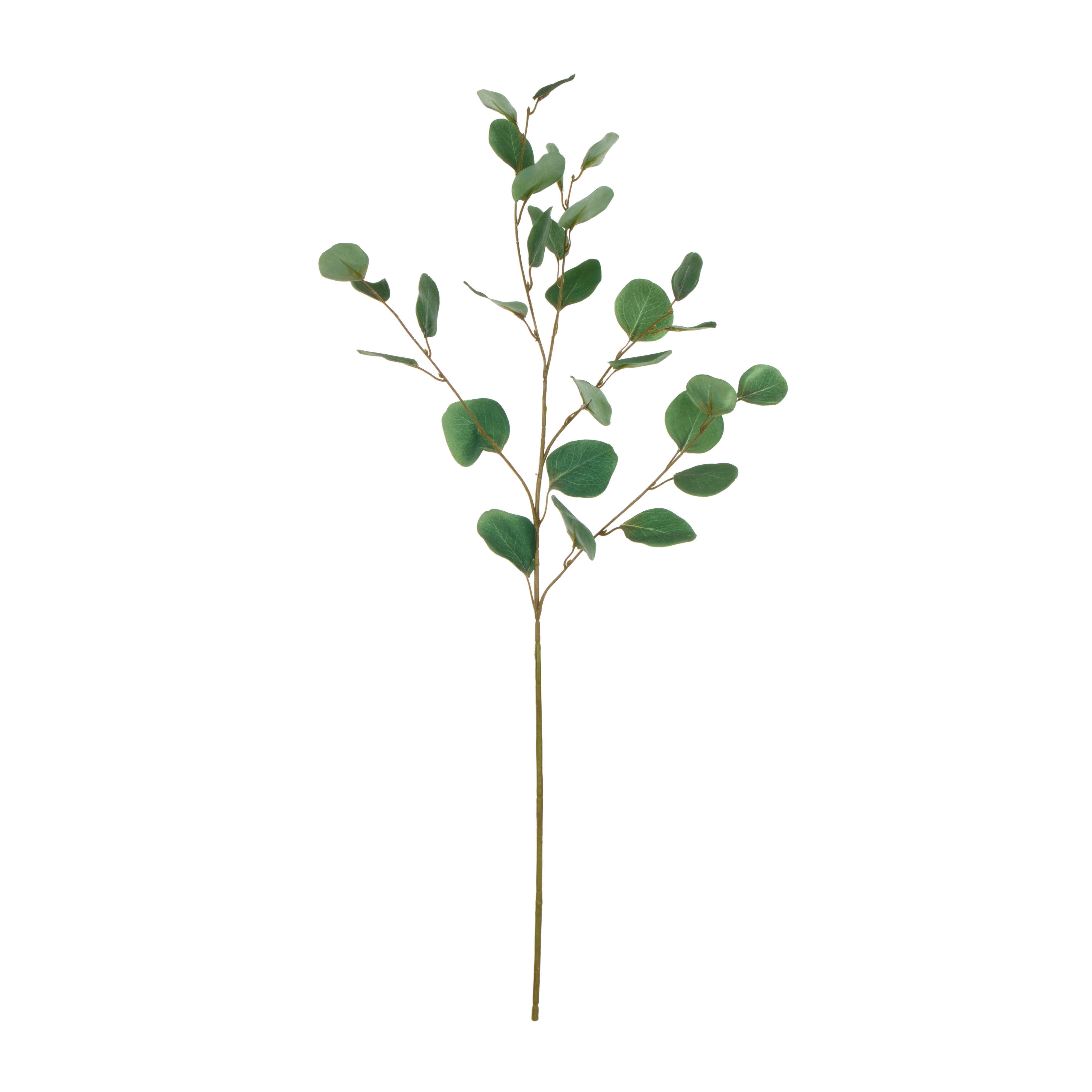 Rogue Round Eucalyptus Spray 8x10x90cm