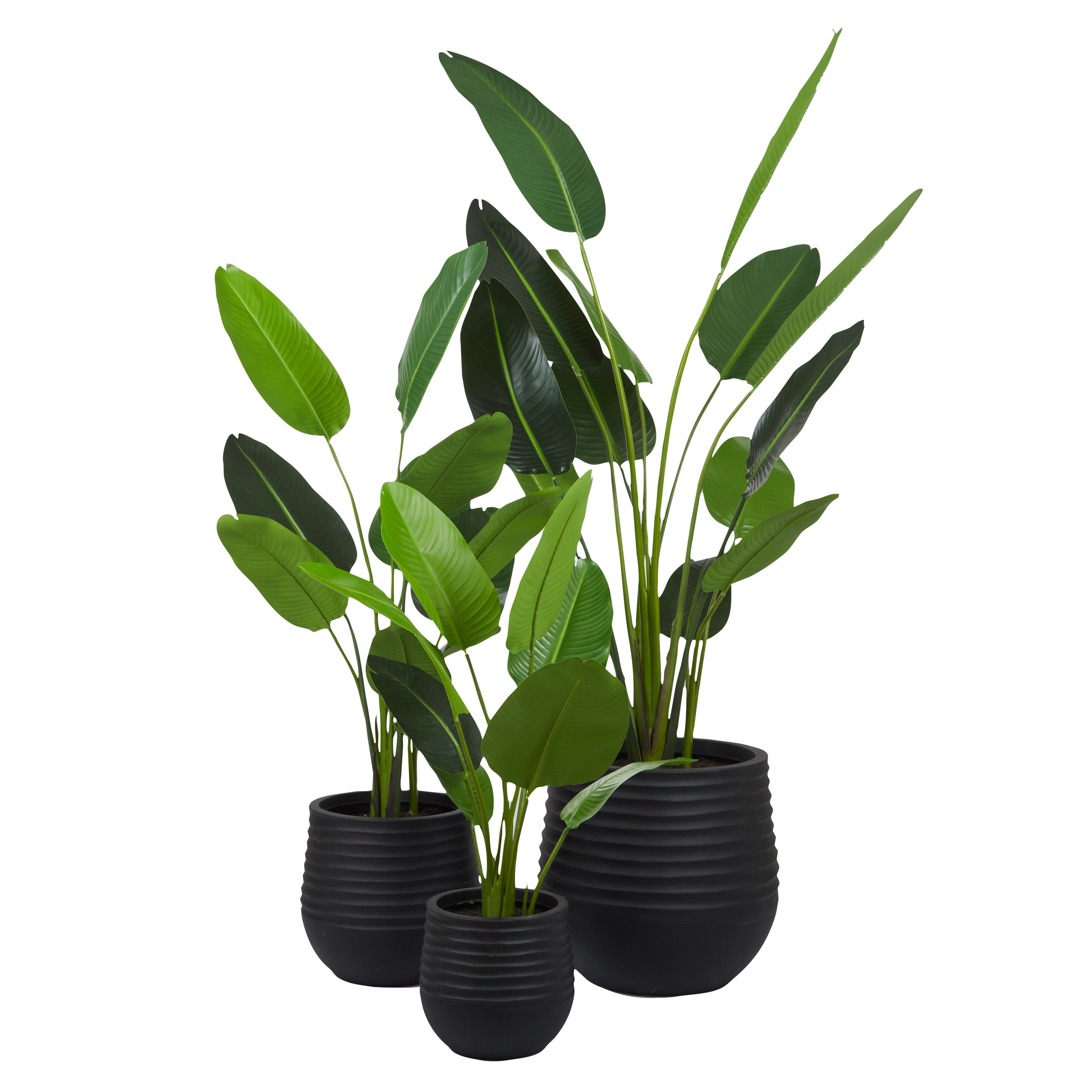 Rogue Bird of Paradise - Ryker Planter 3pcs Set Green/Black