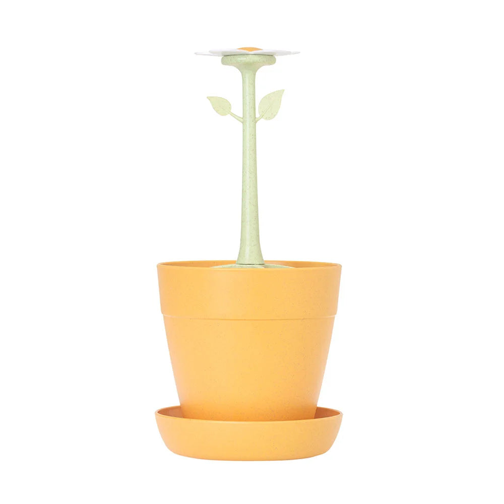 Florganic Cutlery Drainer