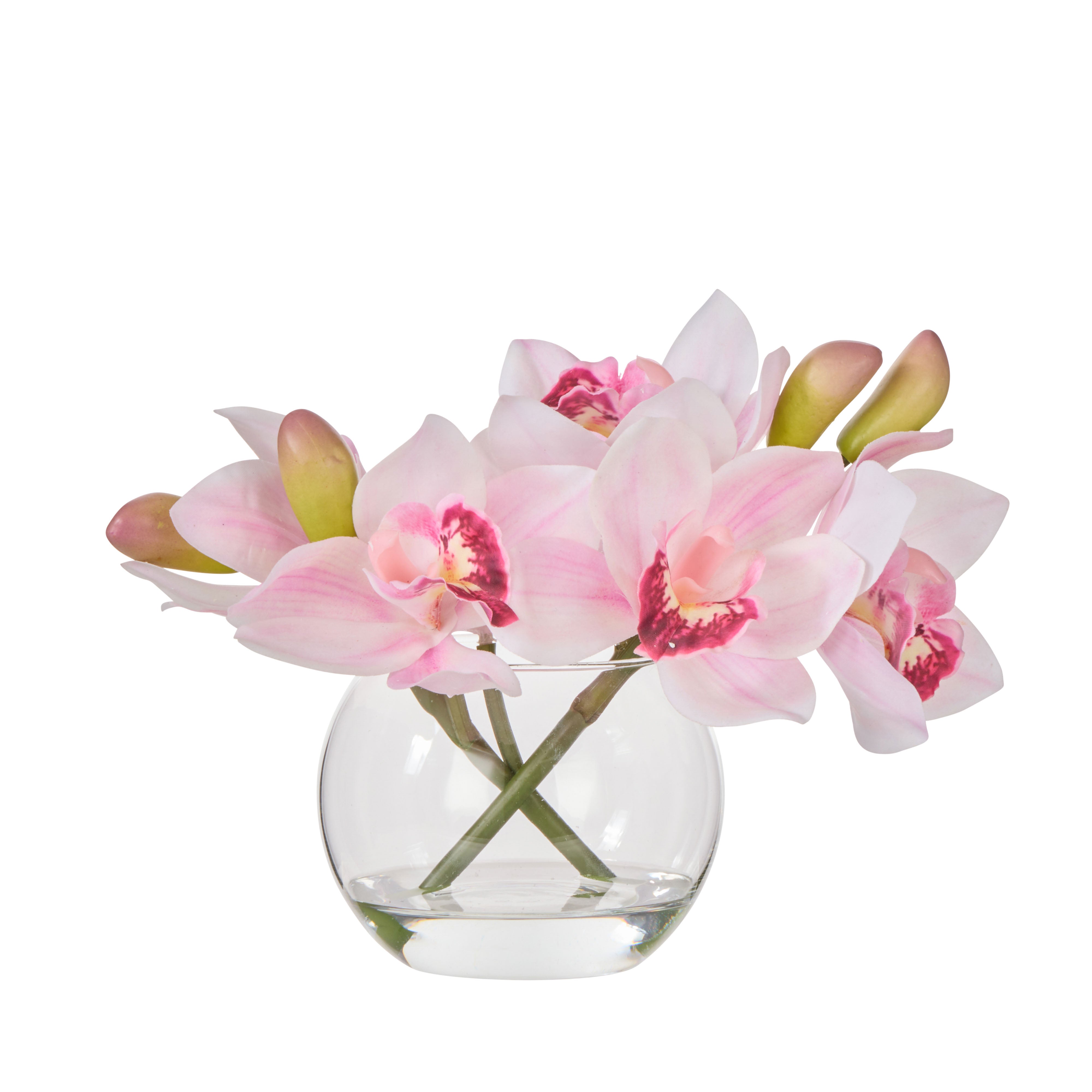 Rogue Cymbidium-Glass Vase Pink 20cm