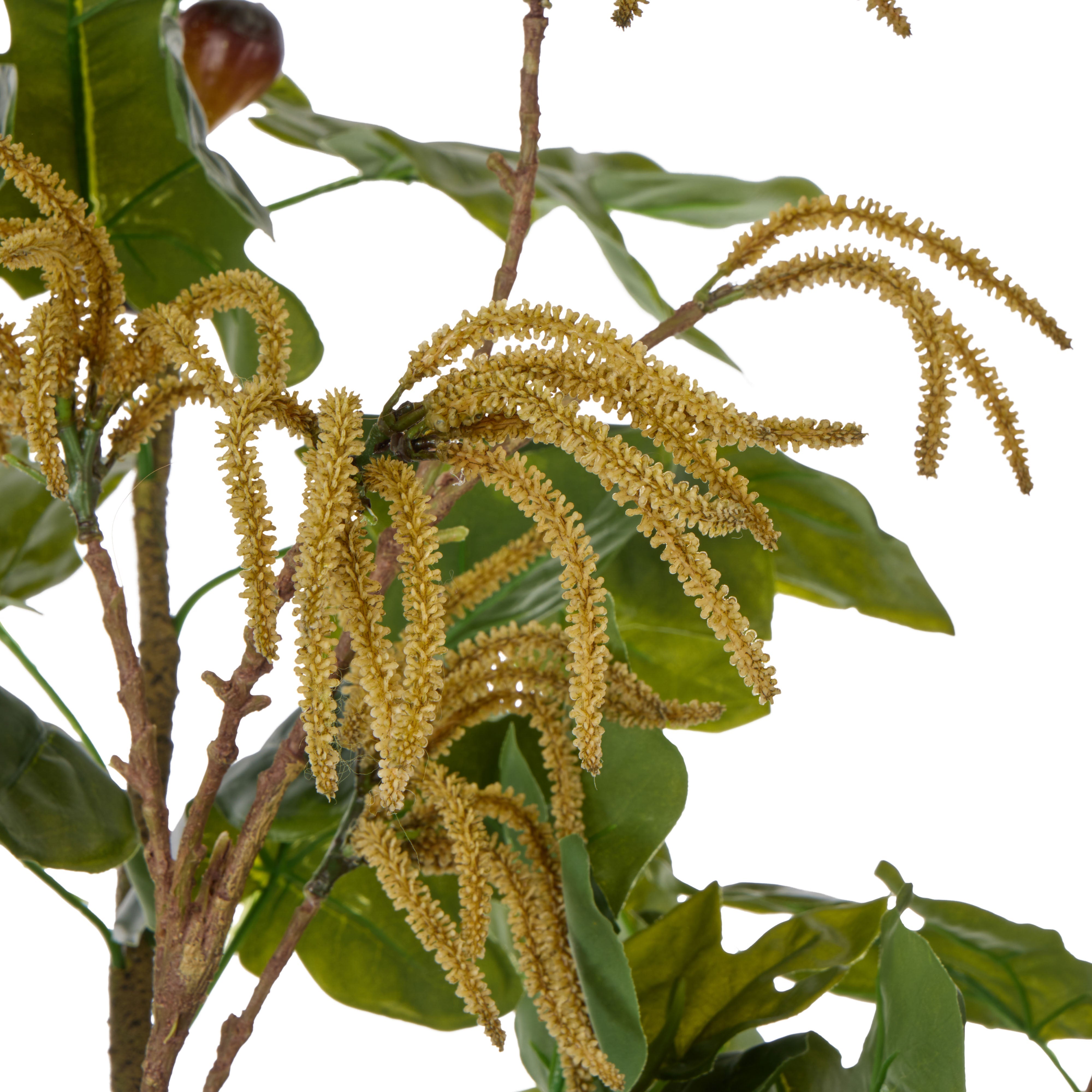 Rogue Fig Catkin Mix - Rachel Green & Brown