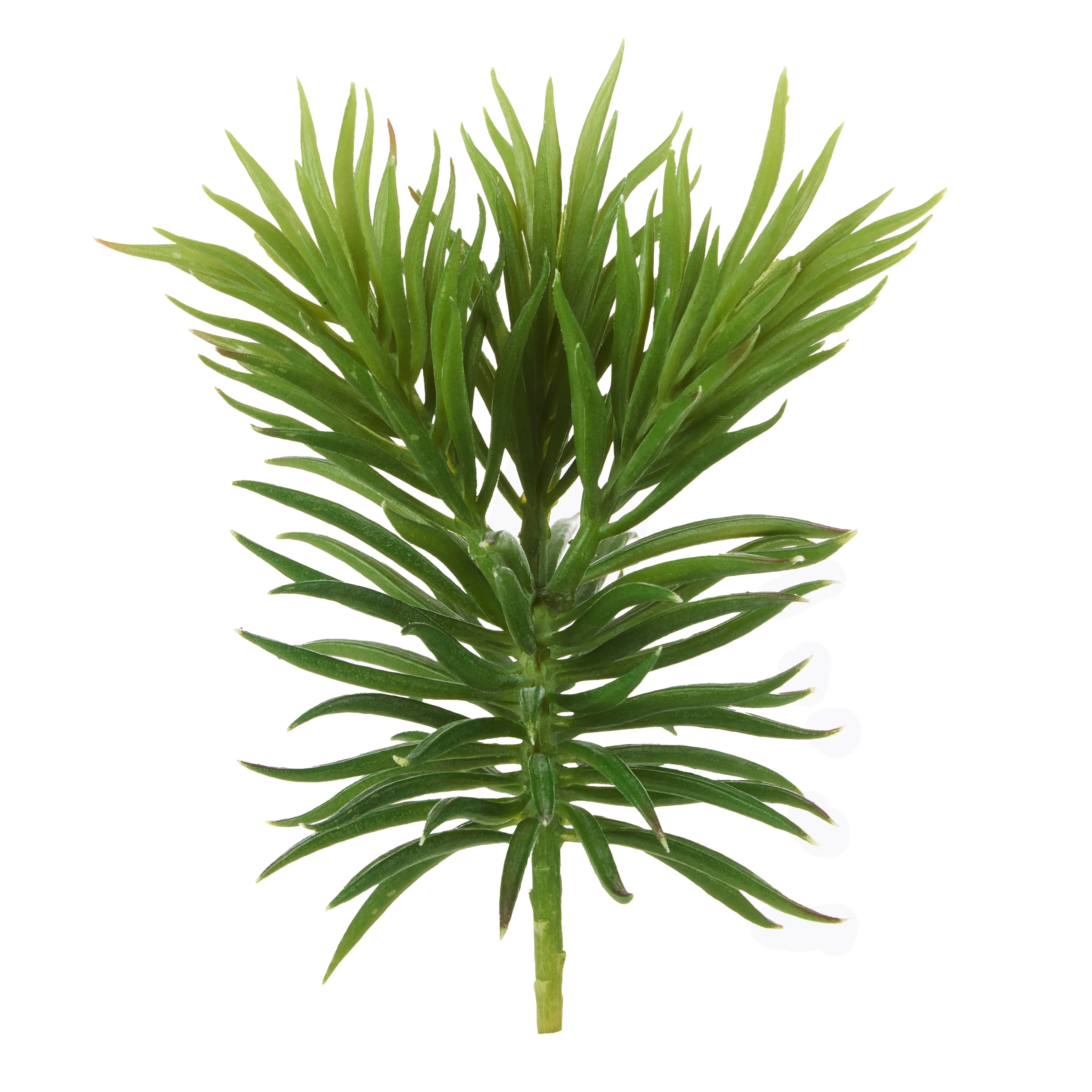 Rogue Mini Pine Tree